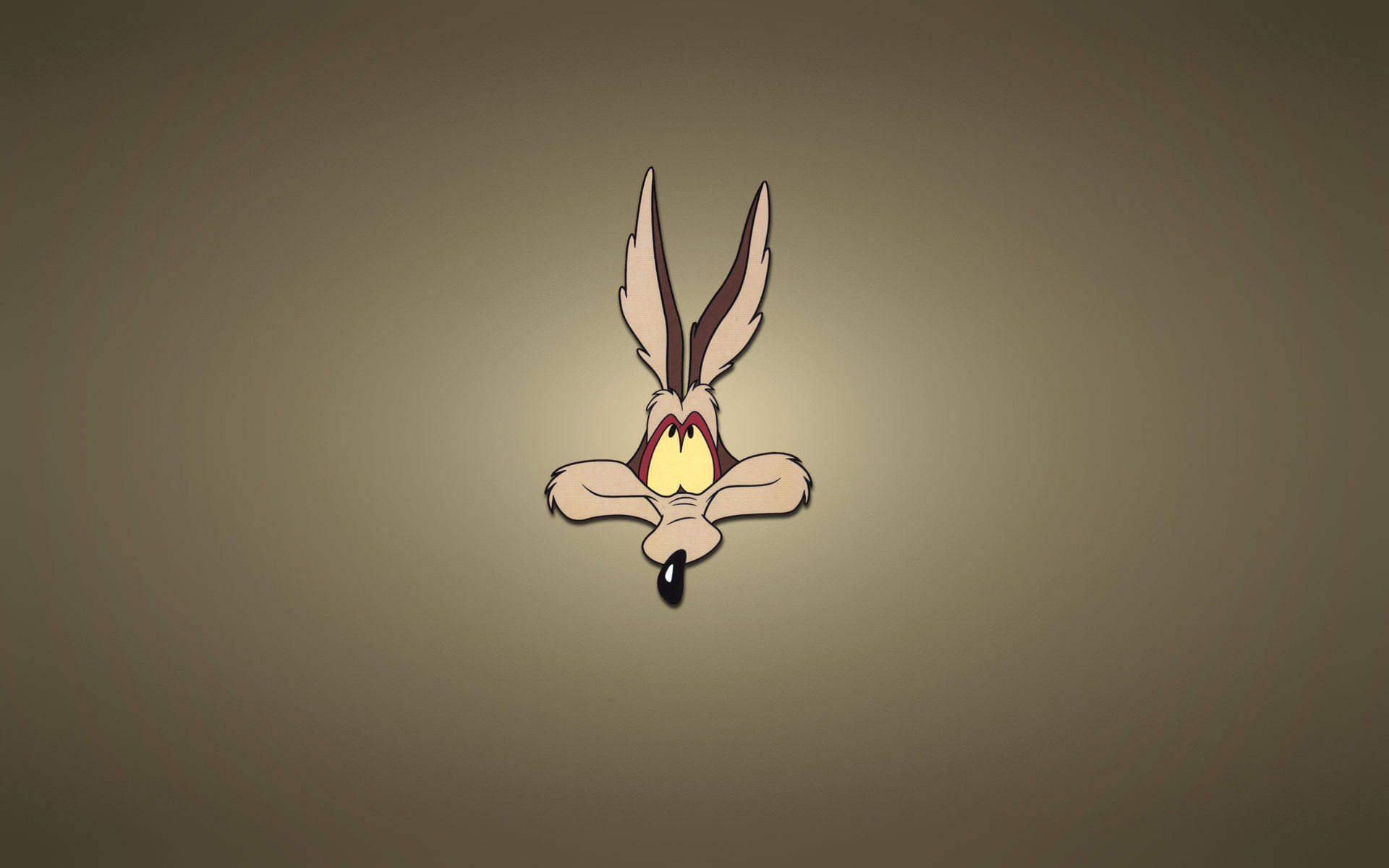 Looney Tunes Wile E. Coyote Wallpaper