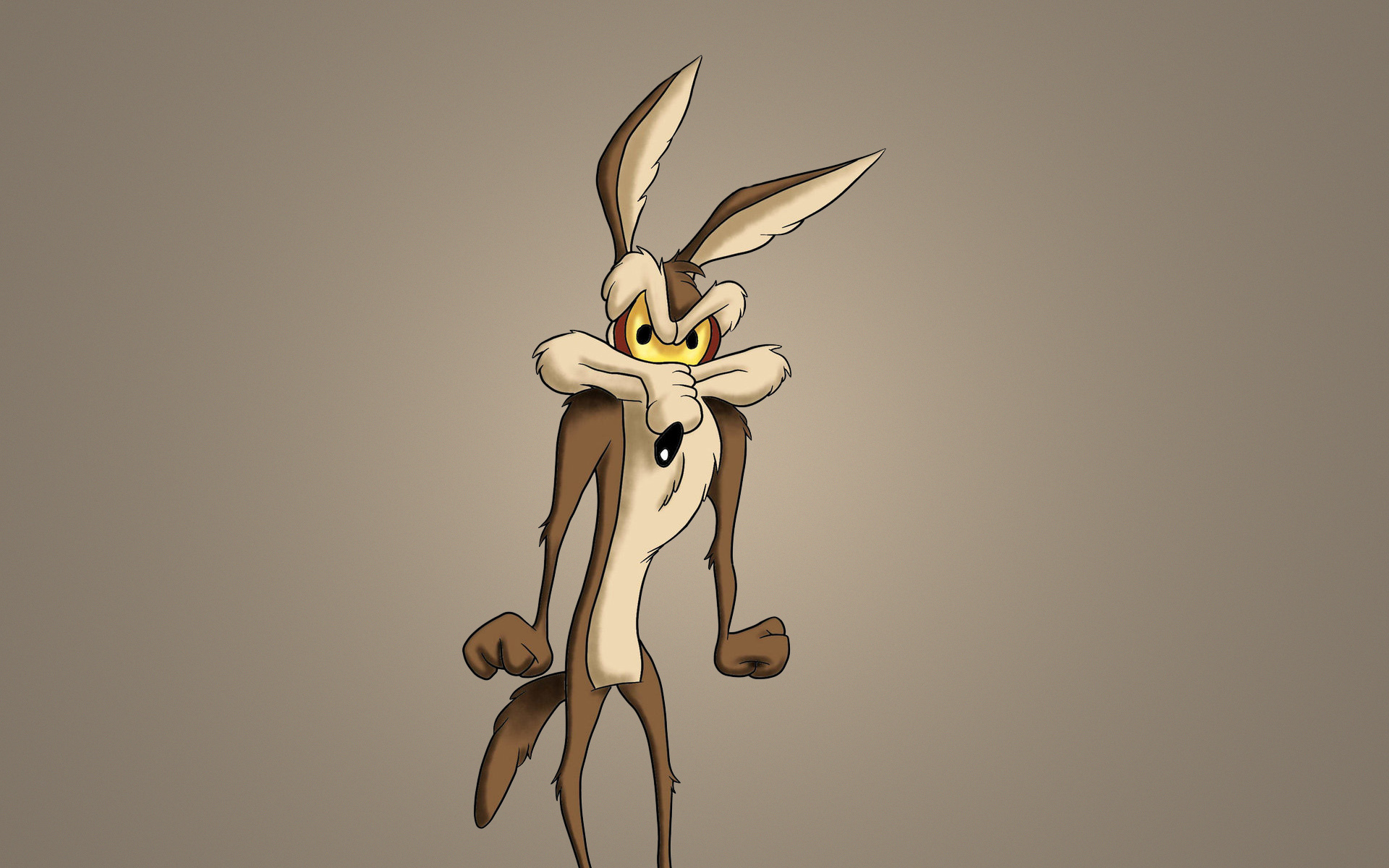 Wile E. Coyote, Looney Tunes