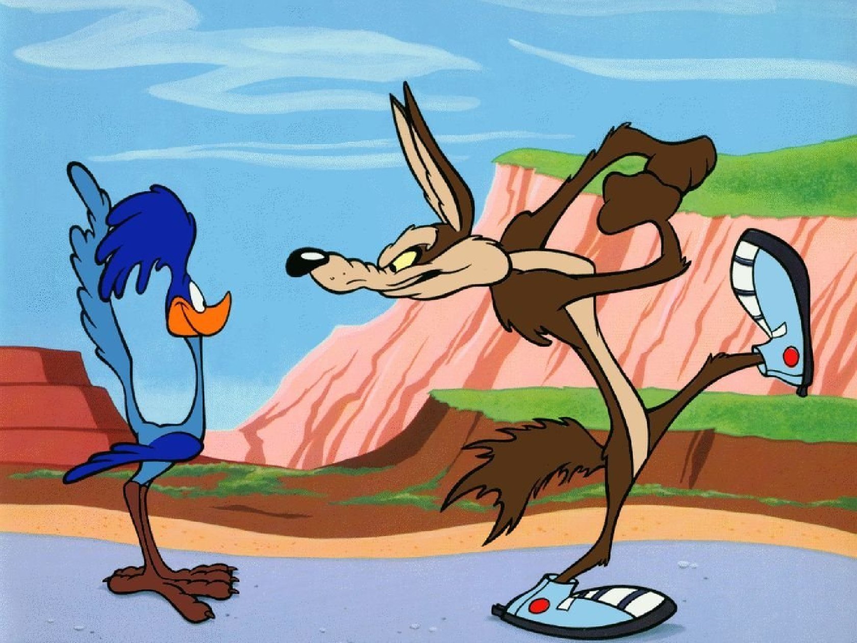 Download Wile E. Coyote Road Runner
