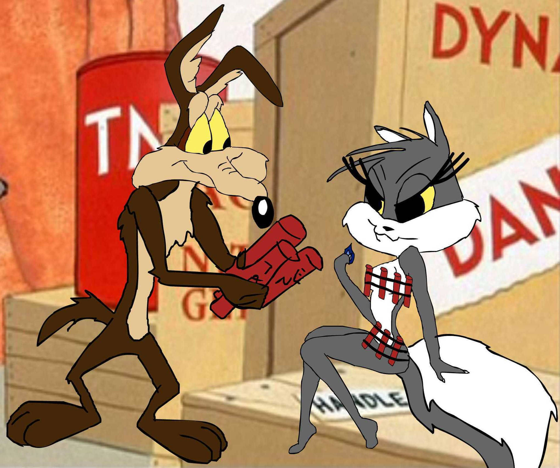 Wile E Coyote Wallpaper