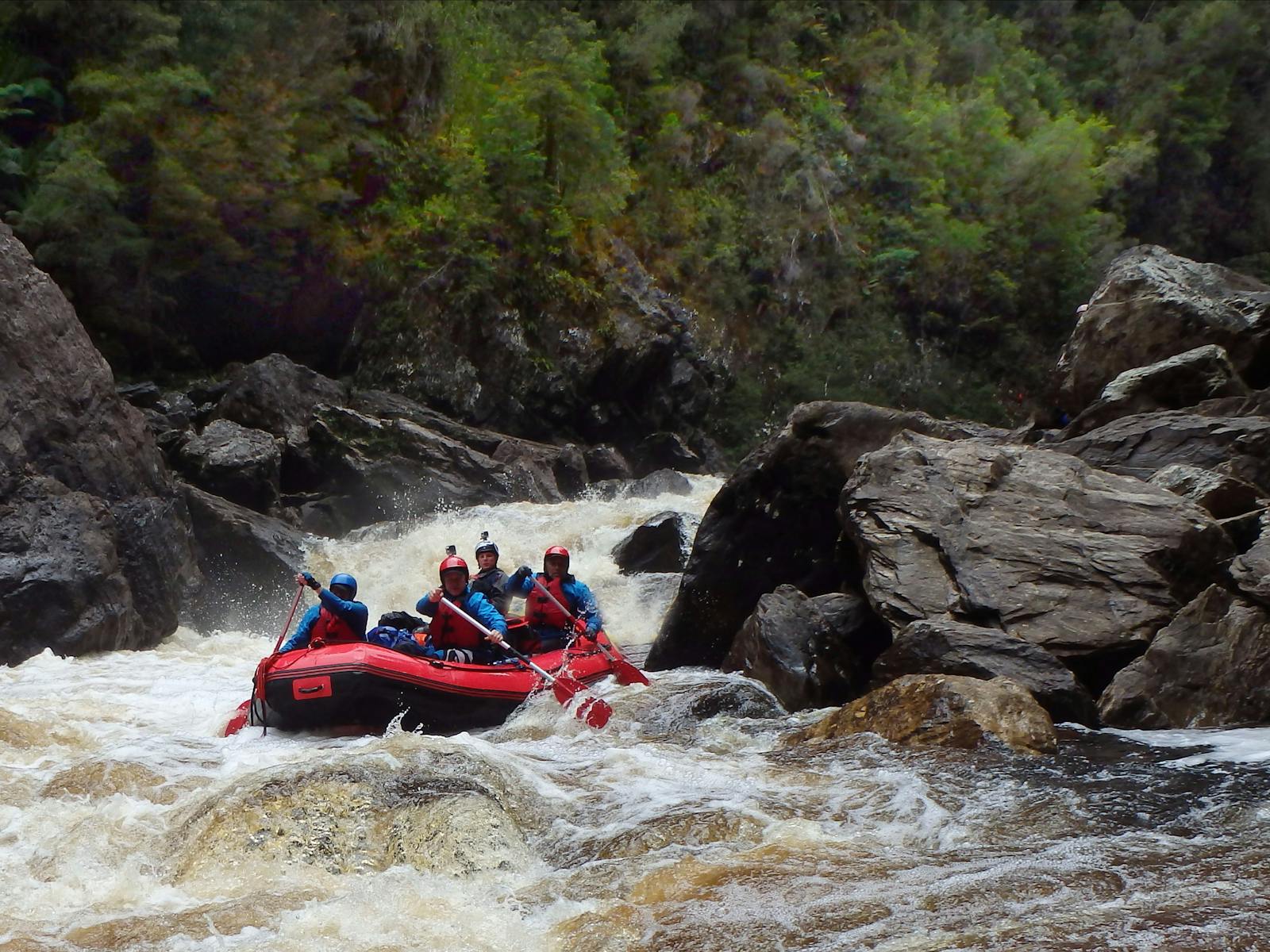 or 8 Day Full Franklin River Rafting