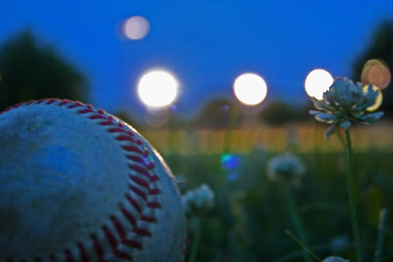 Cute Softball With Flower Wallpaper