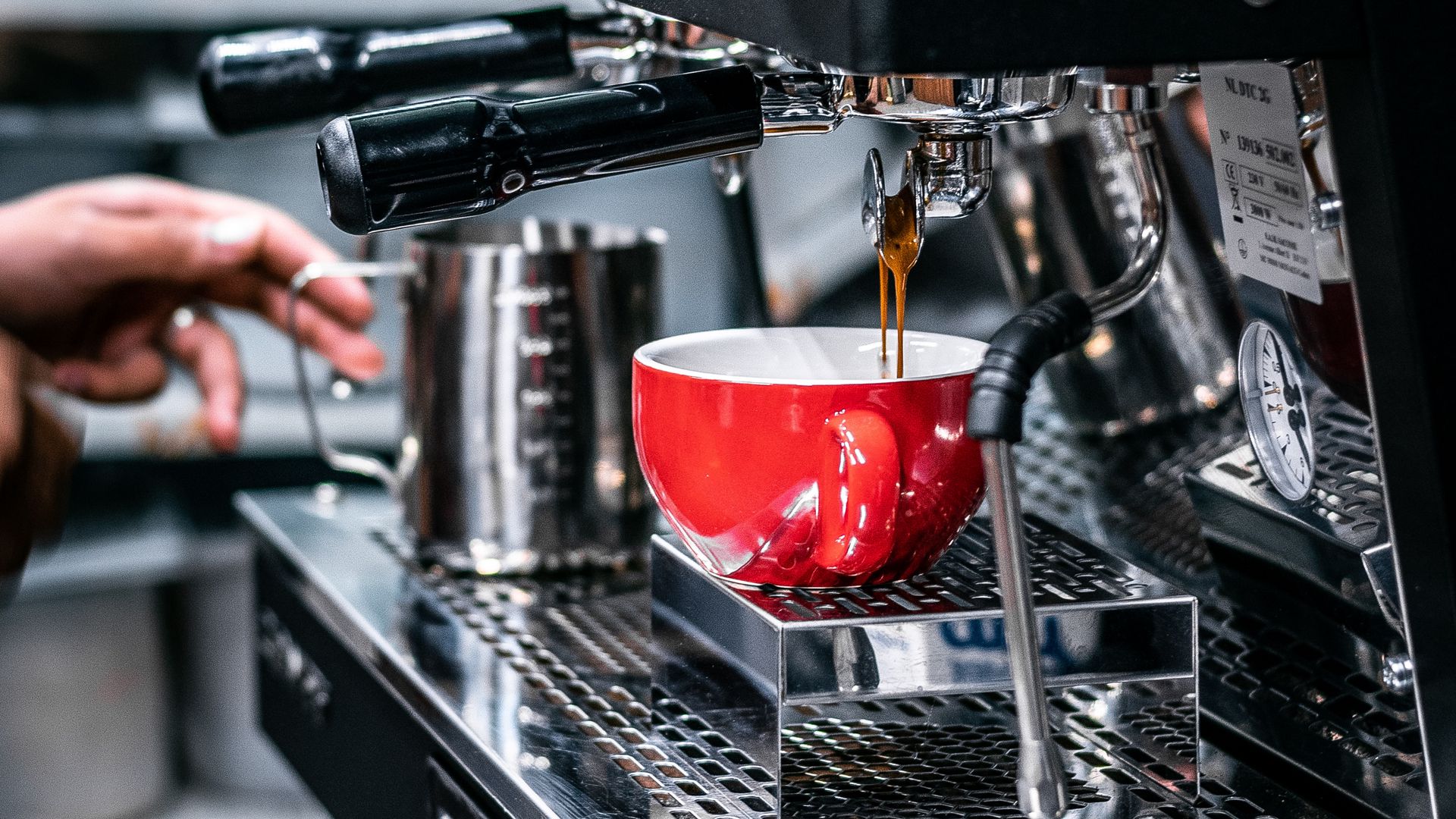 Download wallpaper 1920x1080 cup