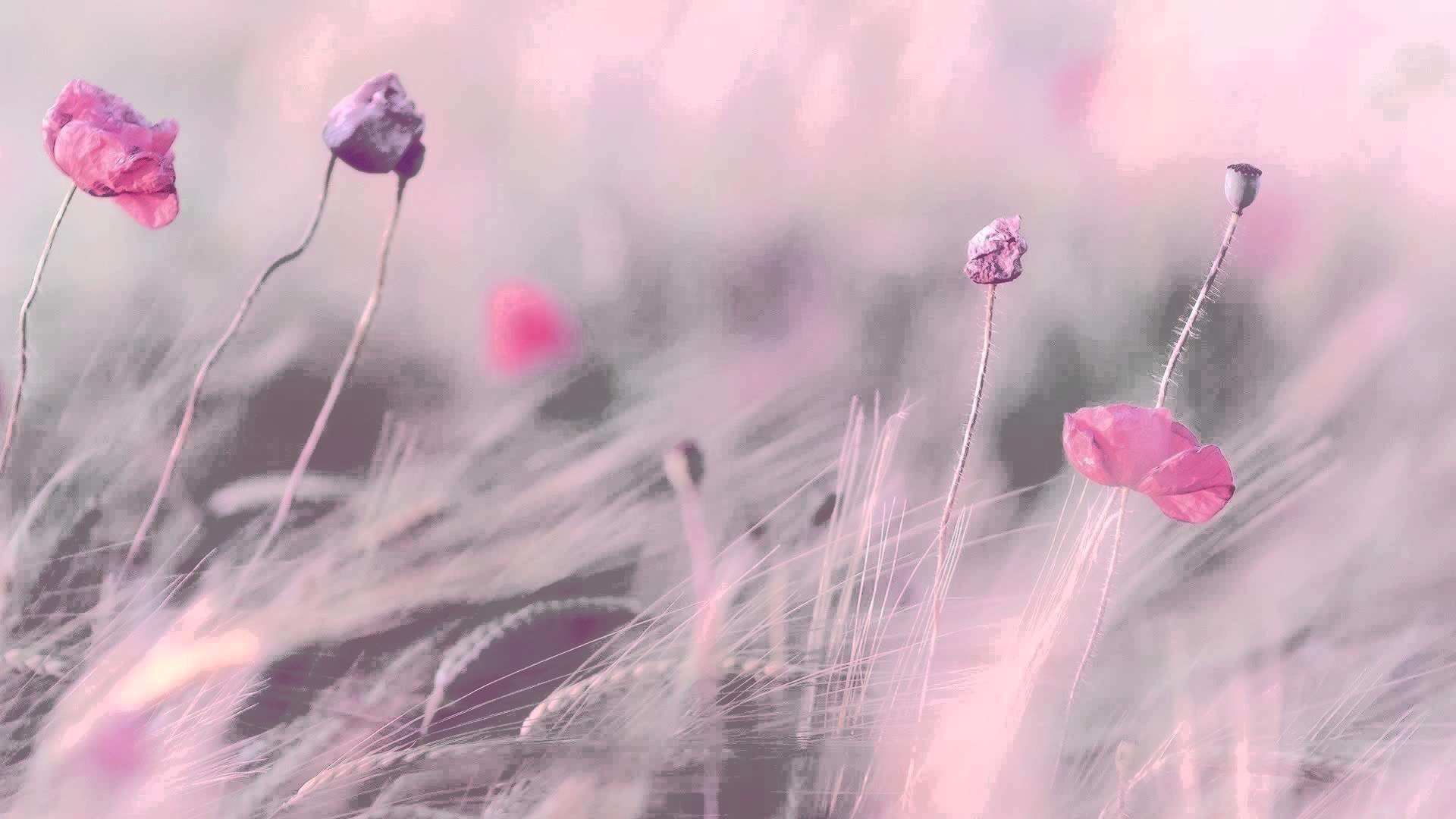 Best Soothing Background Wallpaper