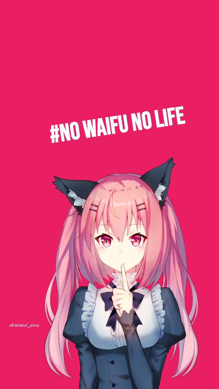 No waifu no life. Anime, Cool anime