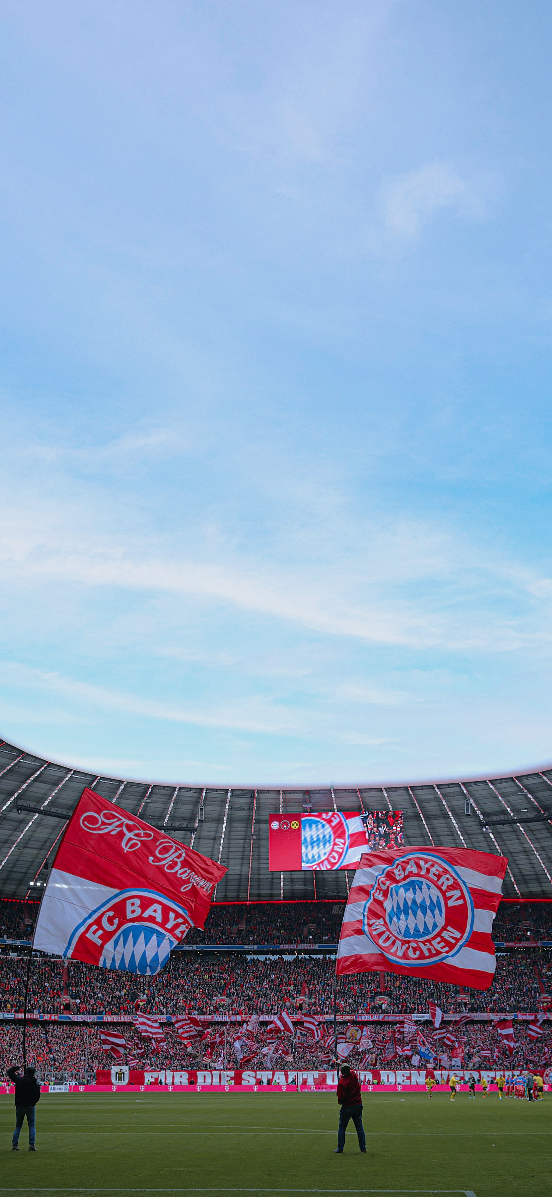 بزبلو. #Wallpaper