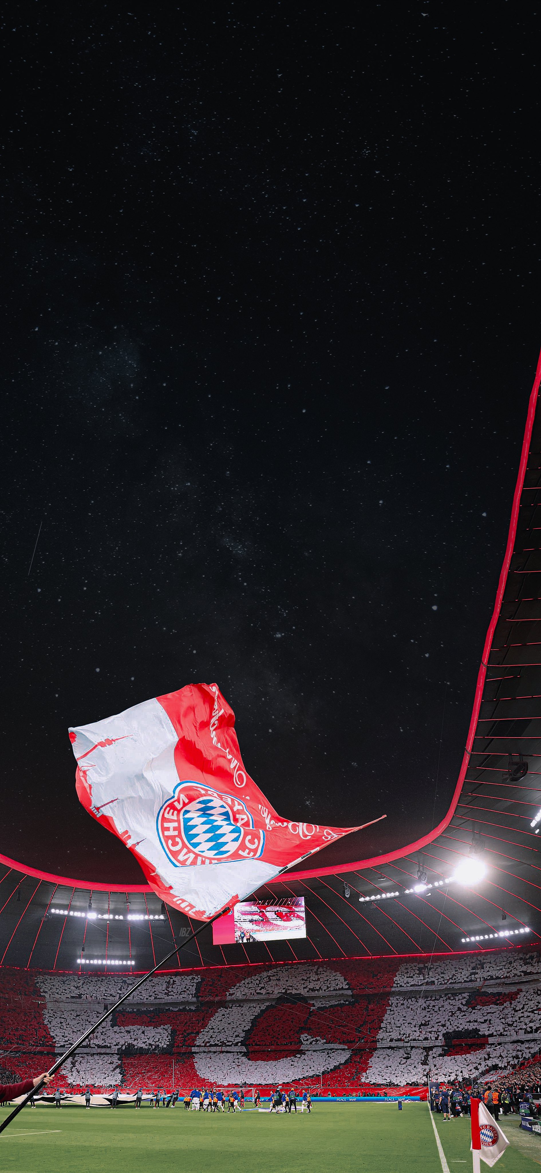 بزبلو. #Wallpaper └