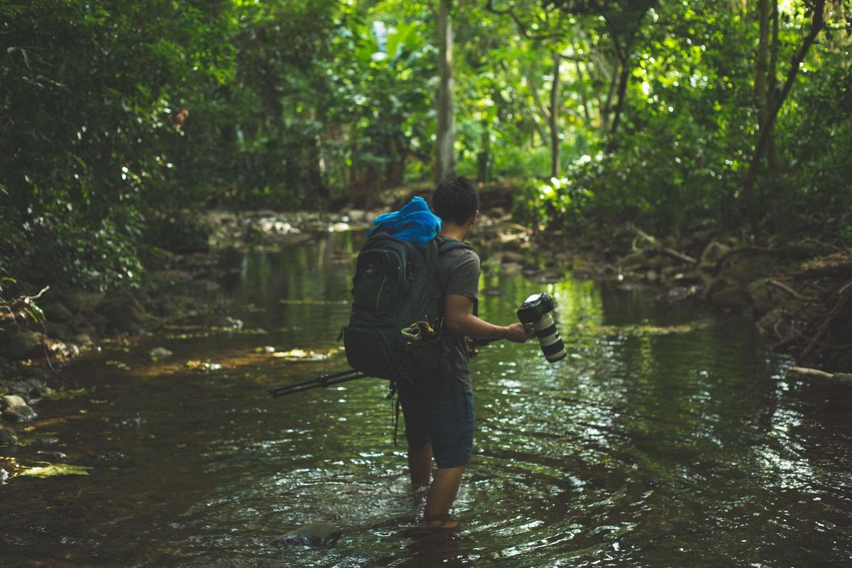 HD Desktop Background With boy in forest