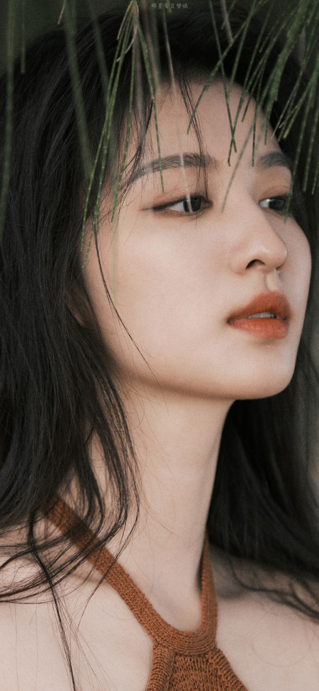 Wang Churan wallpaper