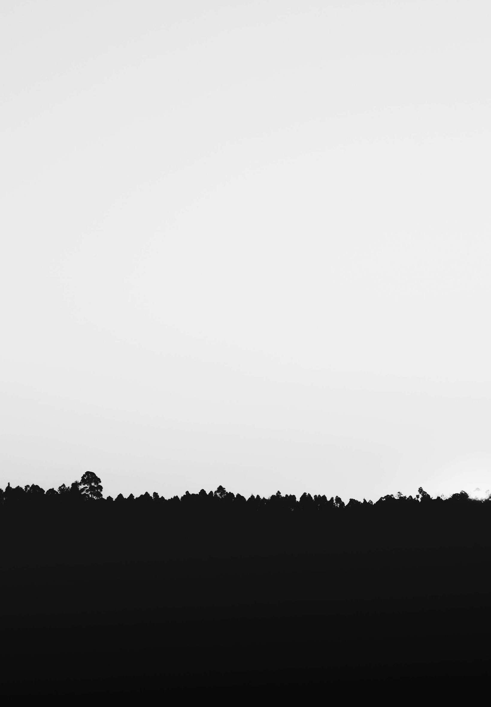 Black And White Landscape 4K iPad Wallpaper