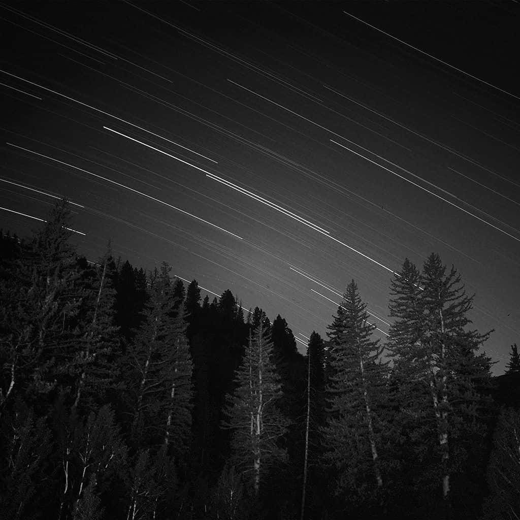 Forest Meteor Shower Dark iPad