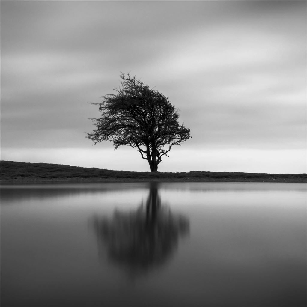 Best Black and white iPad HD Wallpaper