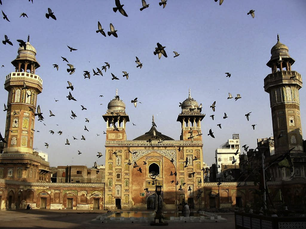 Pigeons flying over Wazir Khan Mosque