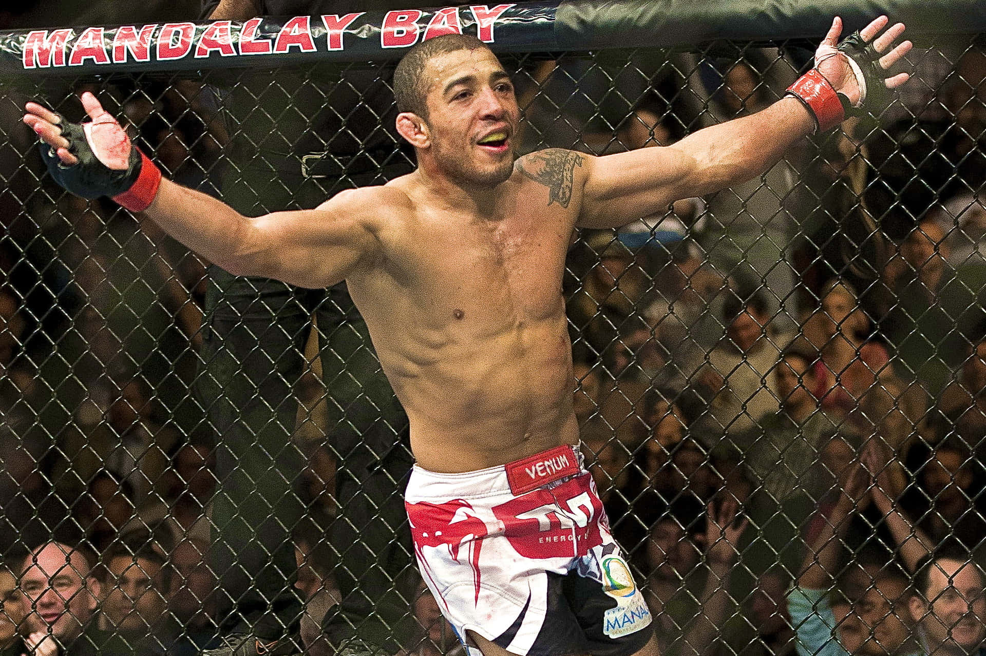 Download UFC Fighter Jose Aldo Cheerful