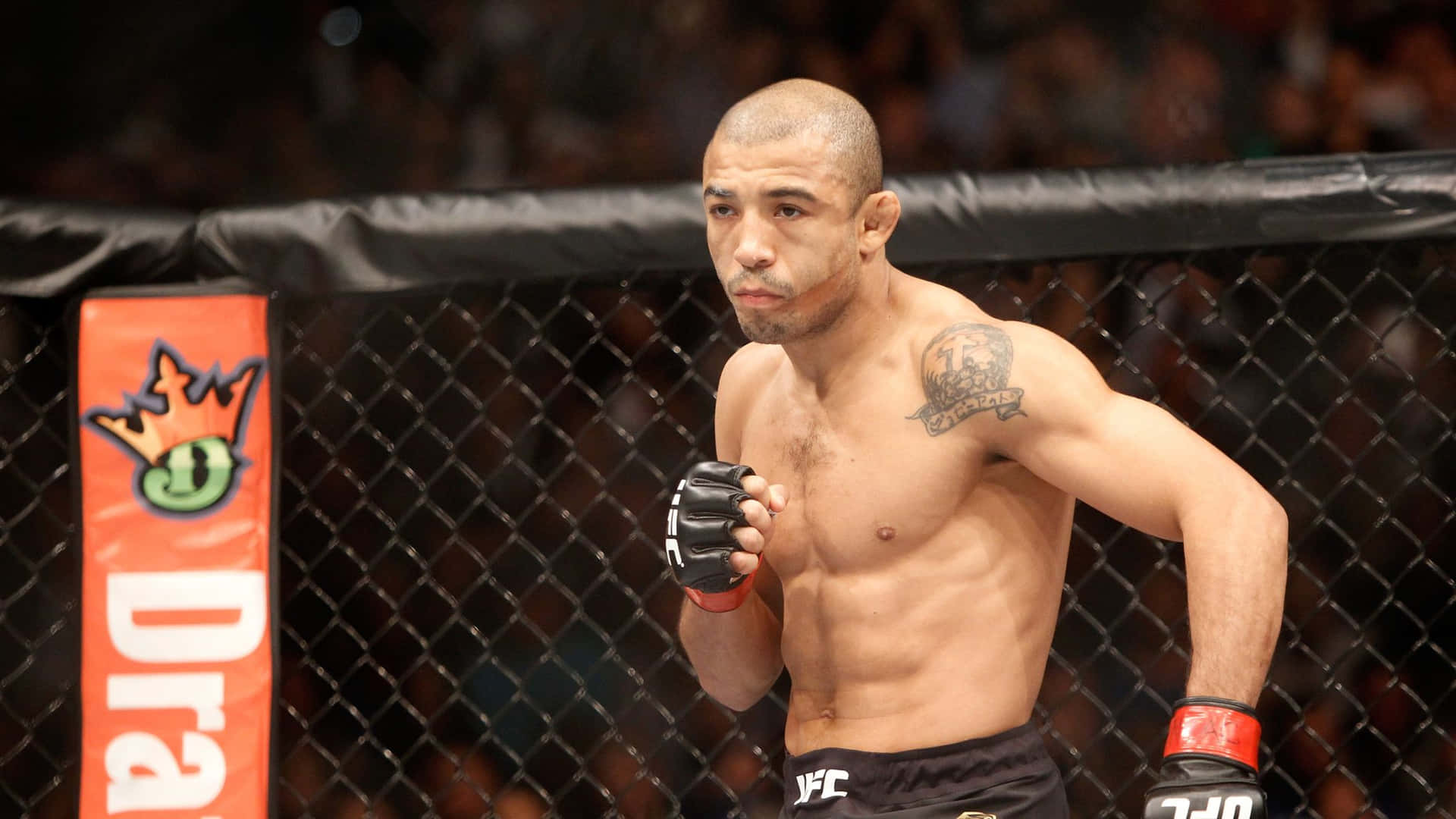 Jose Aldo MMA UFC Fighter Wallpaper