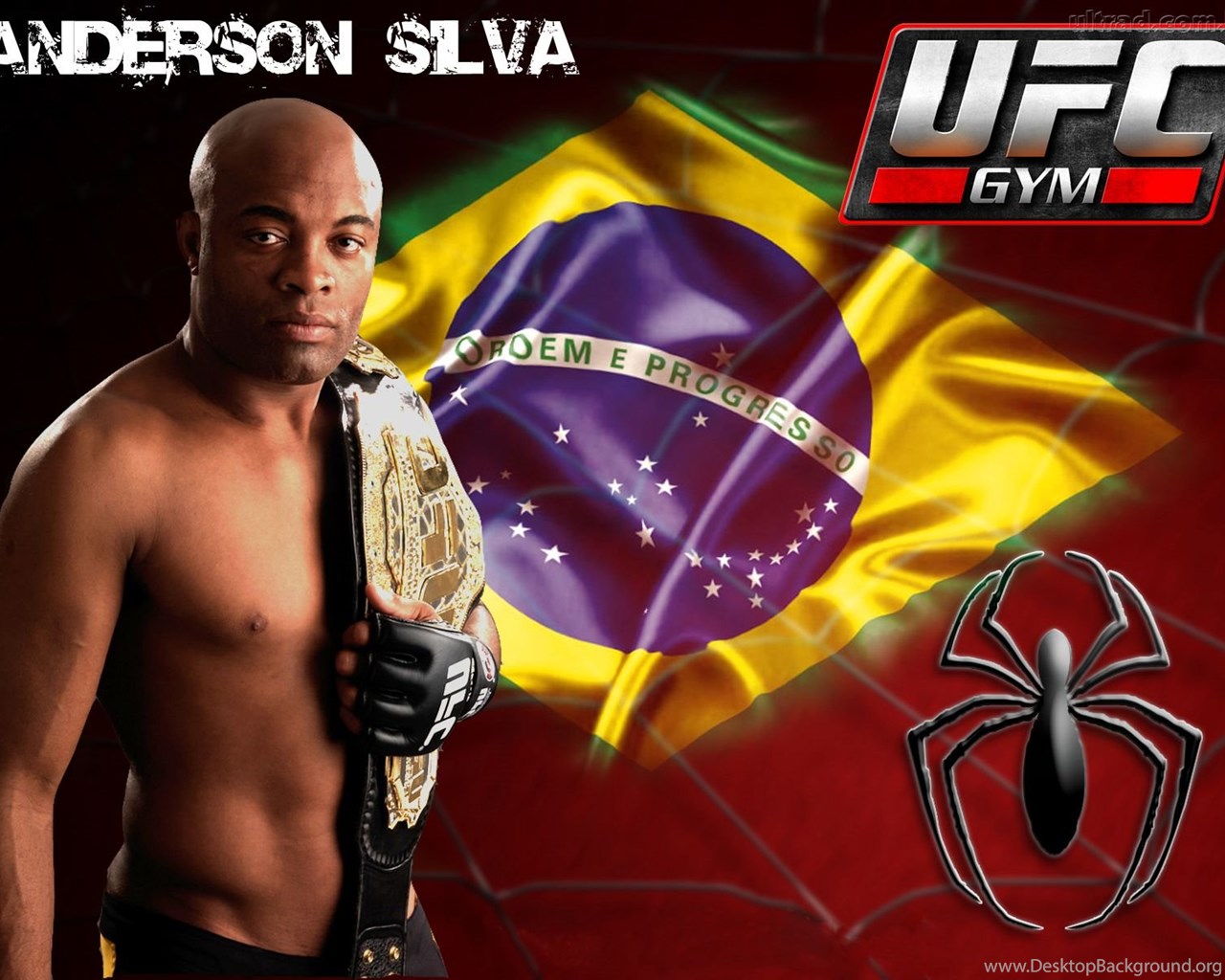 Shogun Desktop Background