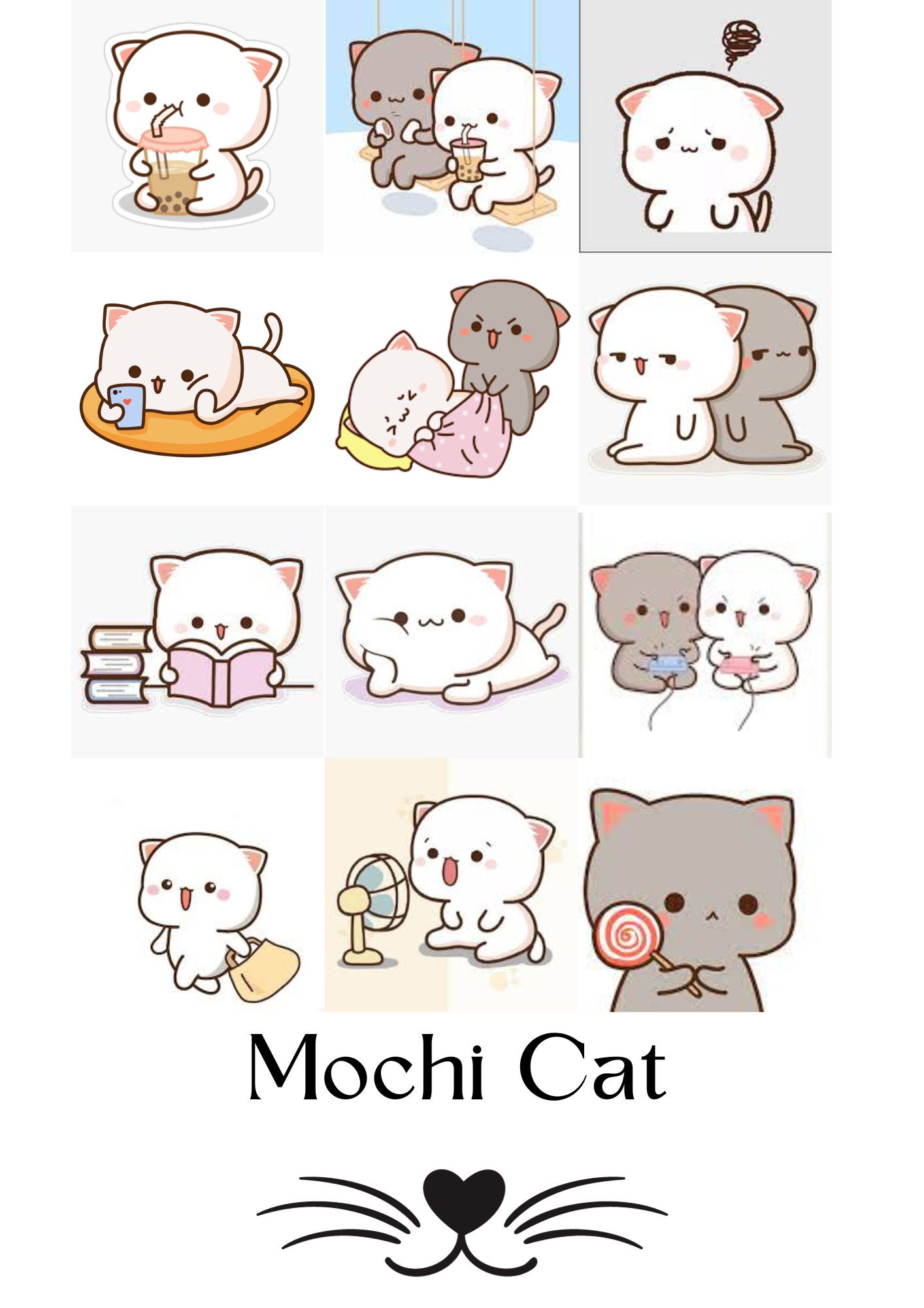 Mochi Cat 10 Different Image to