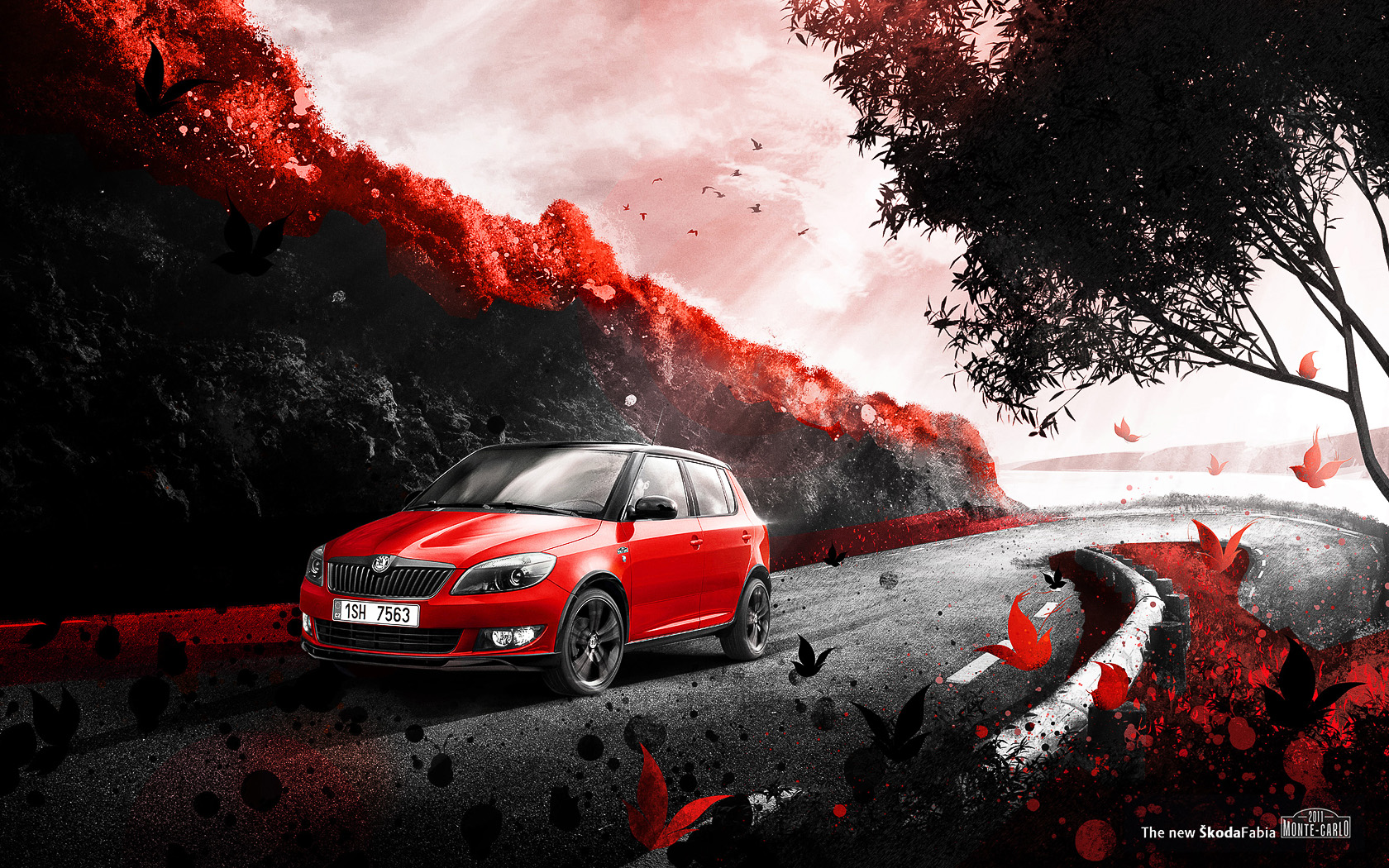 DRAWetc. Fabia Monte Carlo