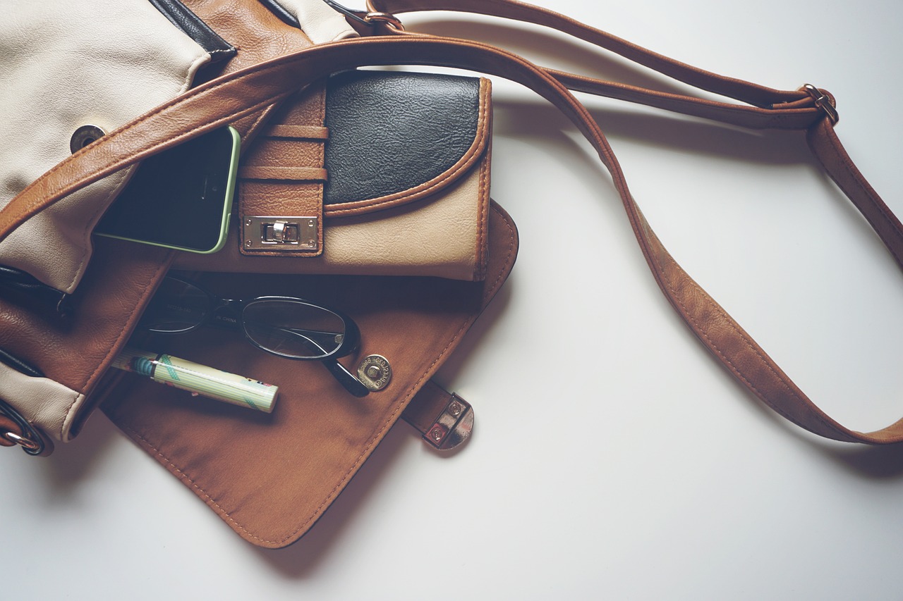 Free Handbags & Purse Image