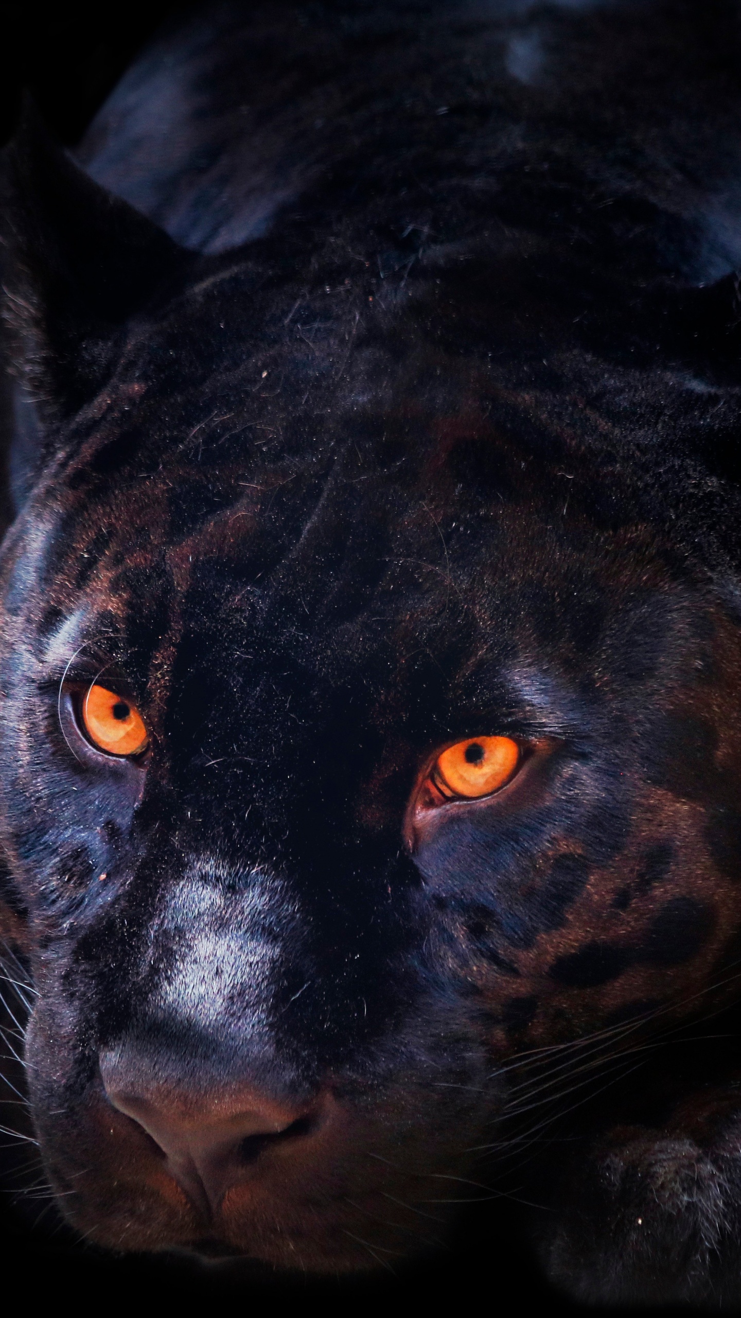 Black Panther Wallpaper 4K, Dark