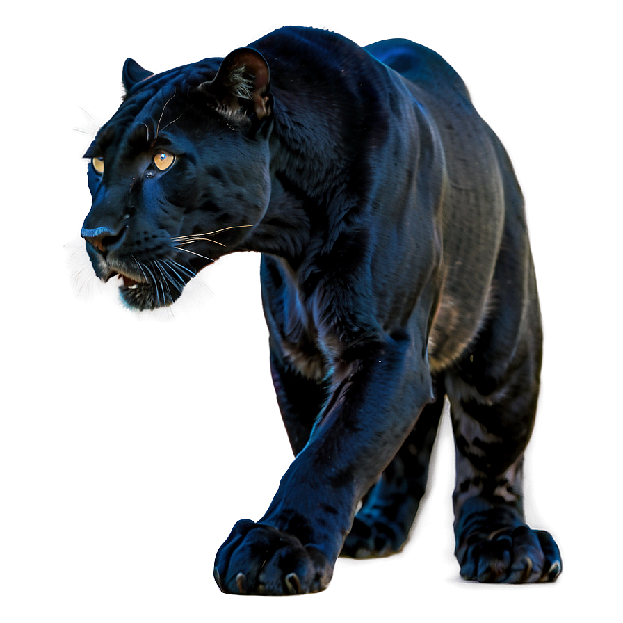 Download Panther In The Wild Png Hdr