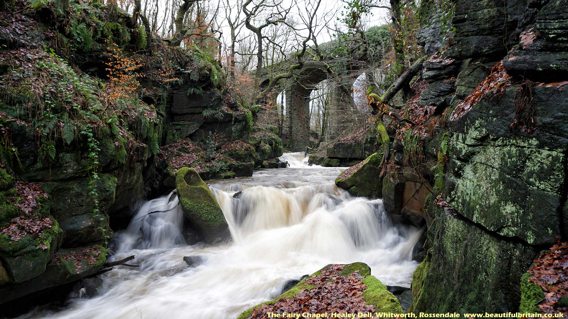 Desktop Wallpaper background