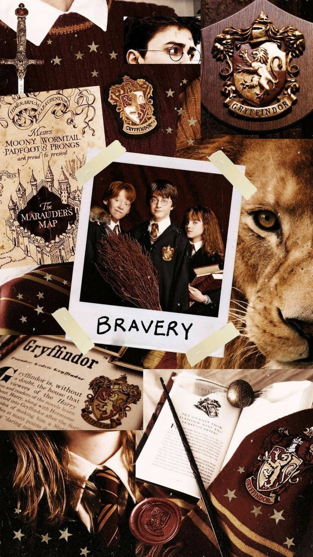 Download Aesthetic Harry Potter Bravery