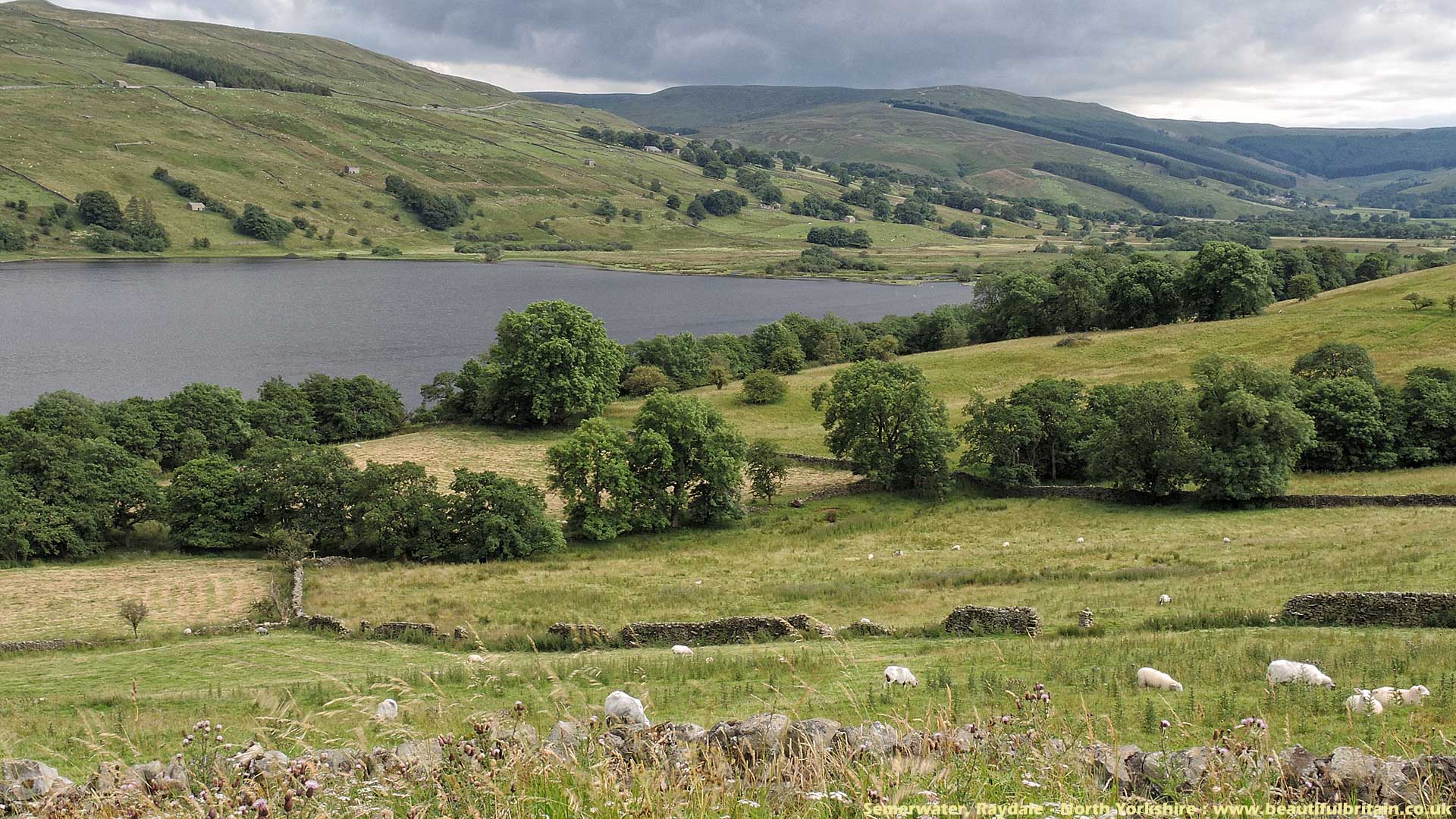 Desktop Wallpaper background