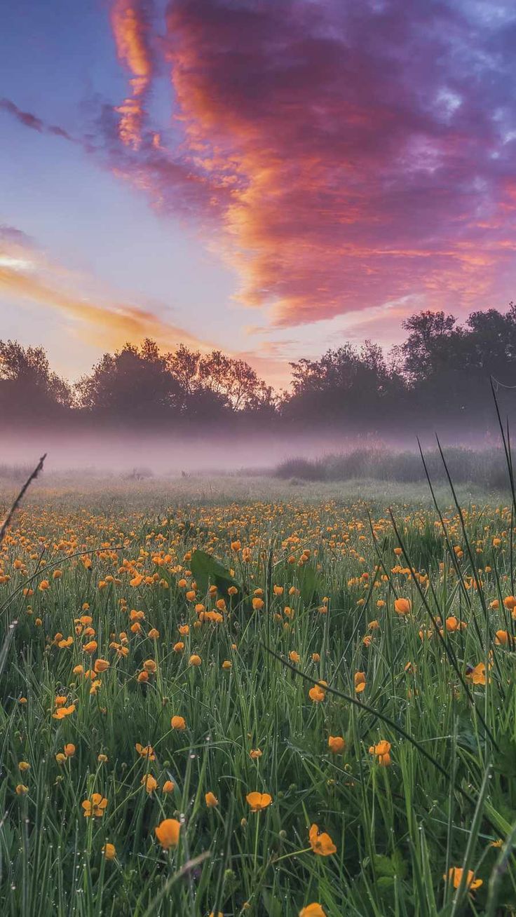 England Nature iPhone Wallpaper