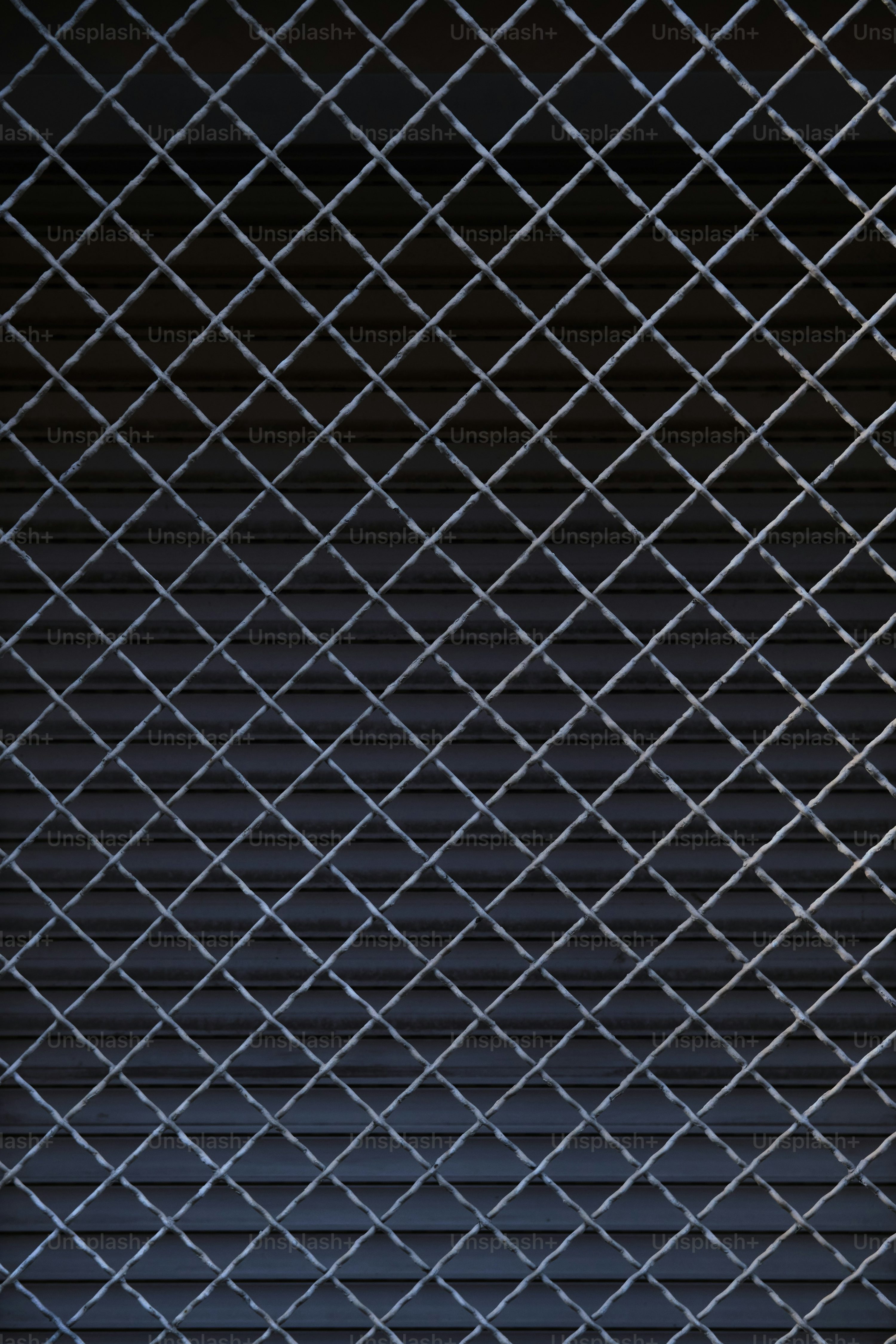 Mma Cage Picture. Download Free