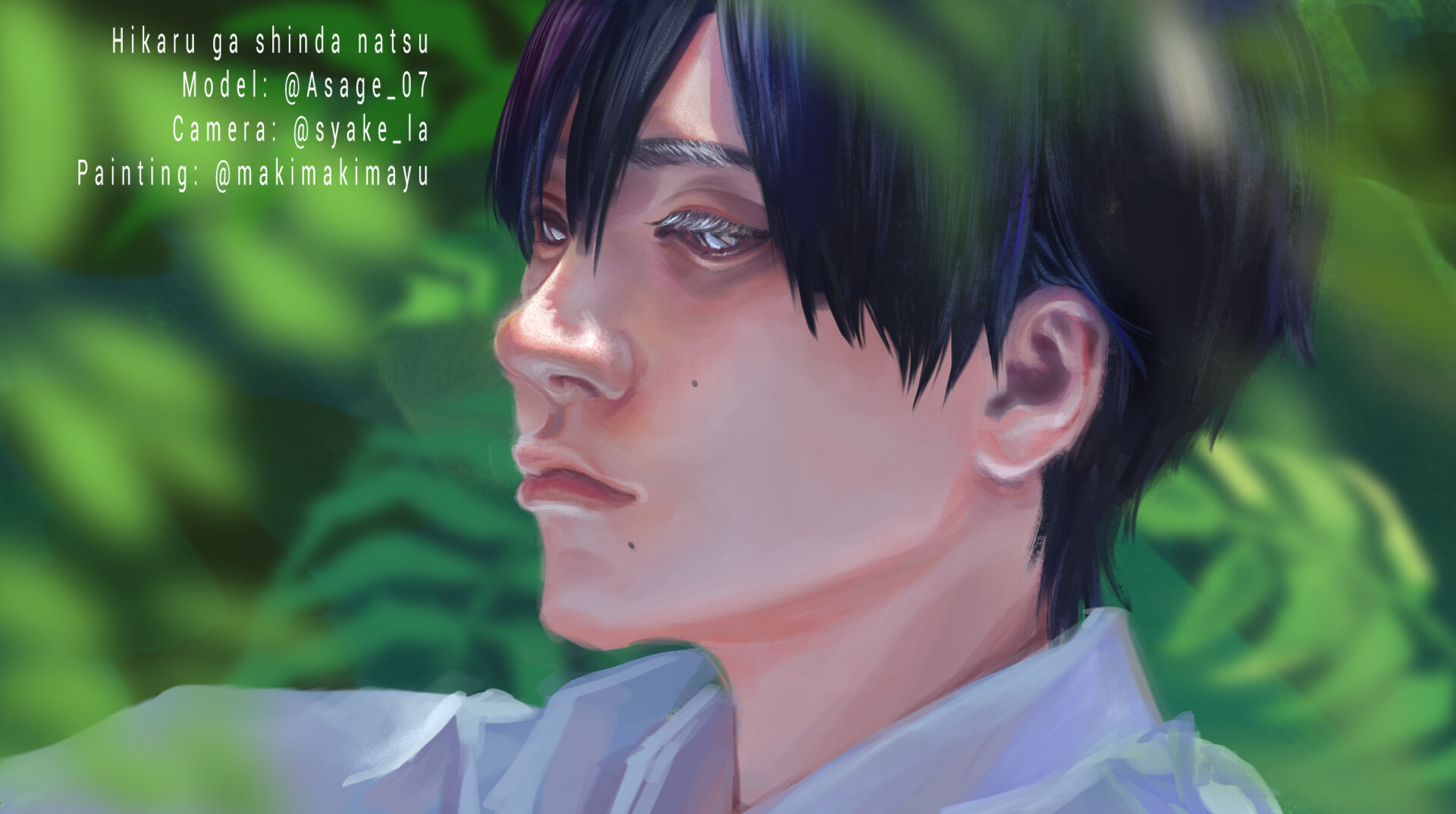 Photo Study, The summer Hikaru died