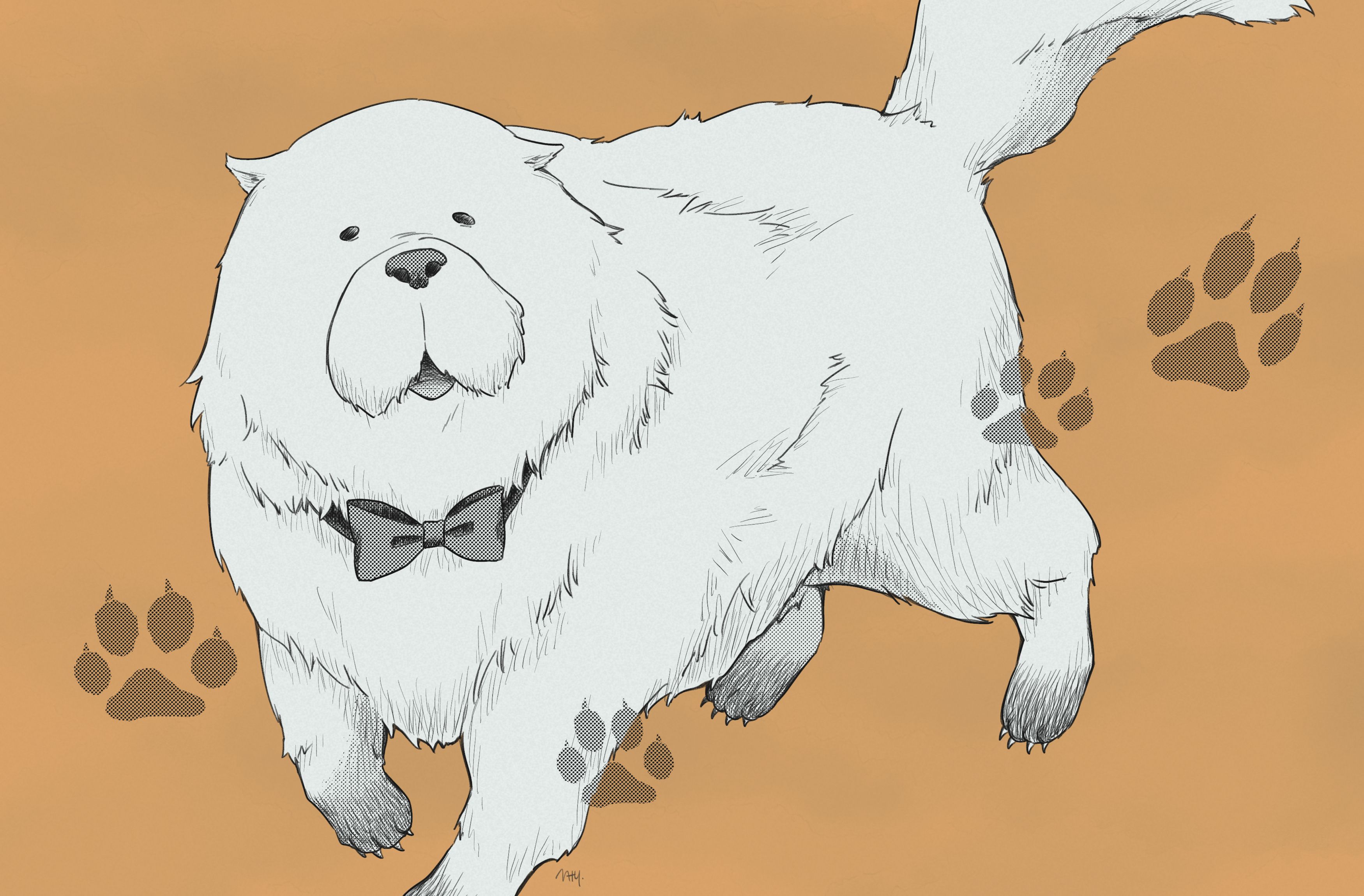 Bond (Spy X Family) wallpaper