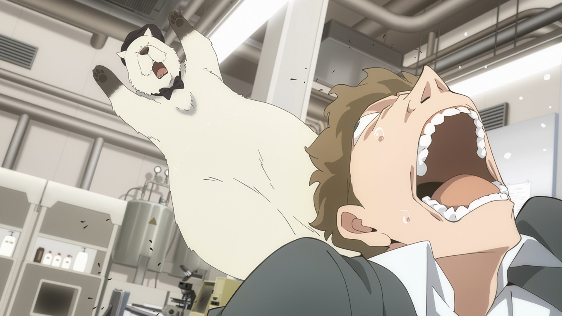 Spy X Family ”Stay Alive Research Trip