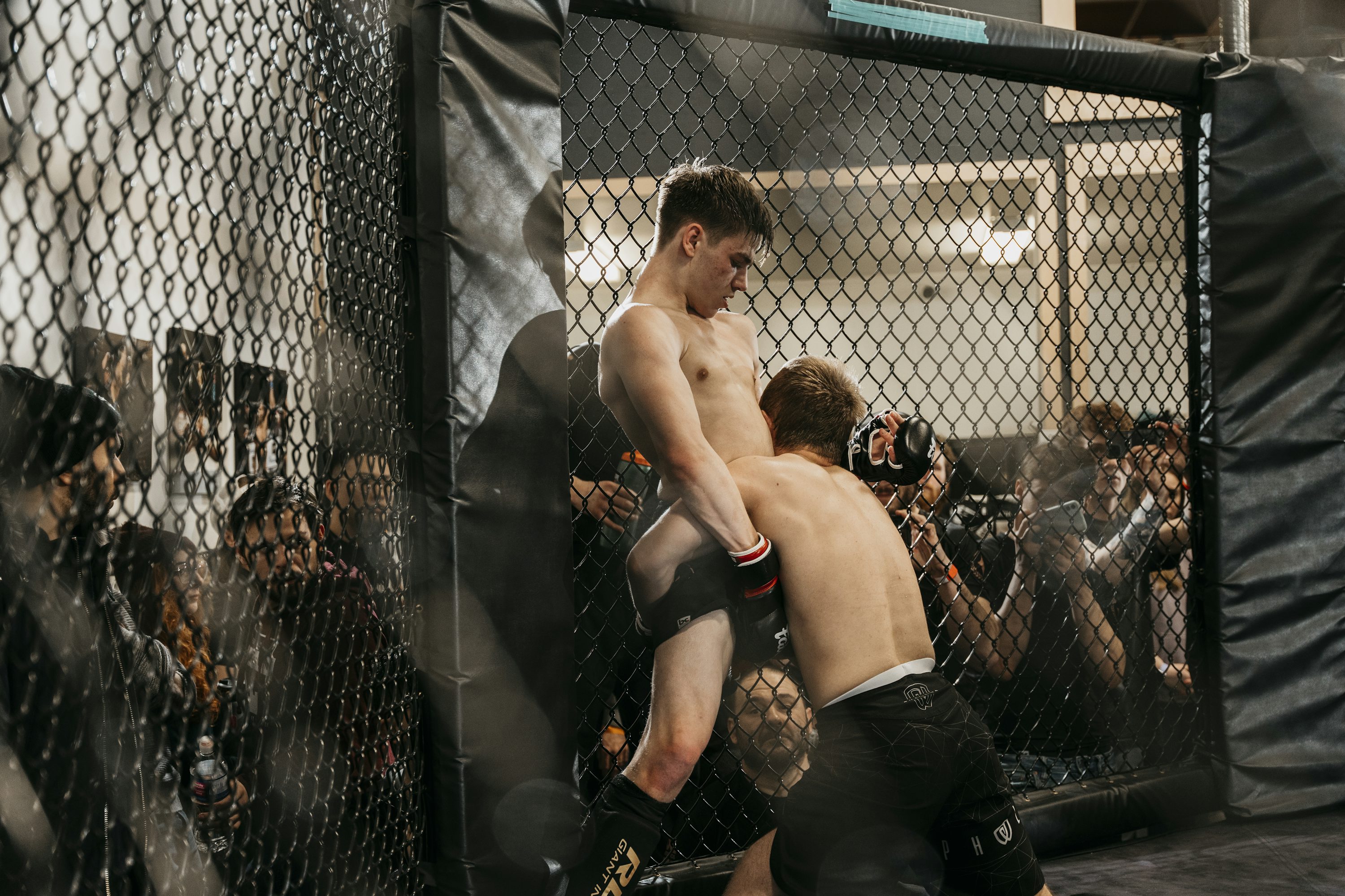 Mma Cage Picture. Download Free