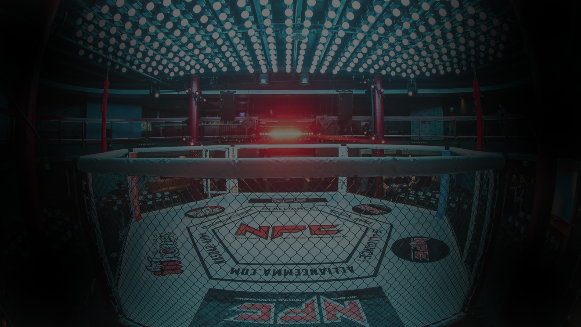 Mixed Martial Arts Cage Rental