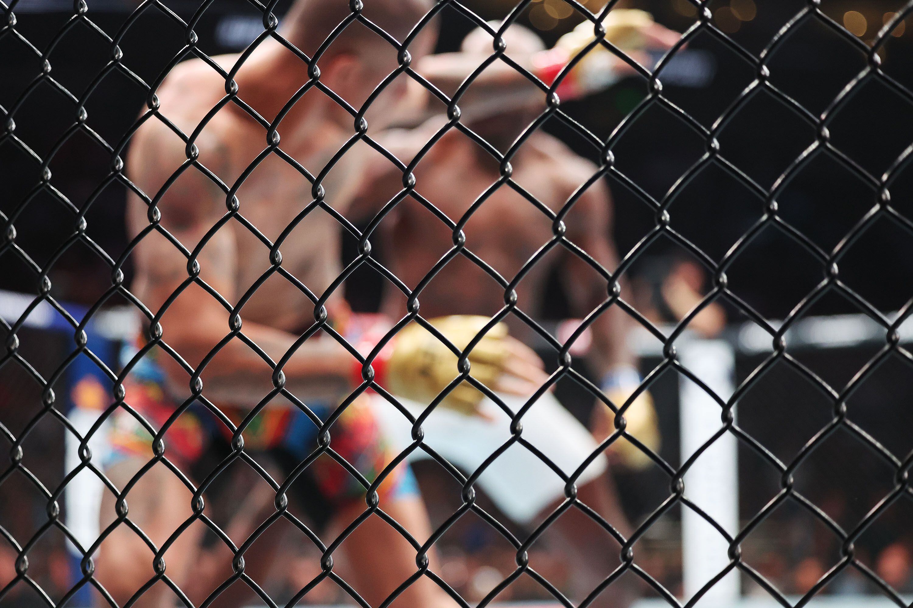 UFC 307 in Salt Lake City: Top photo