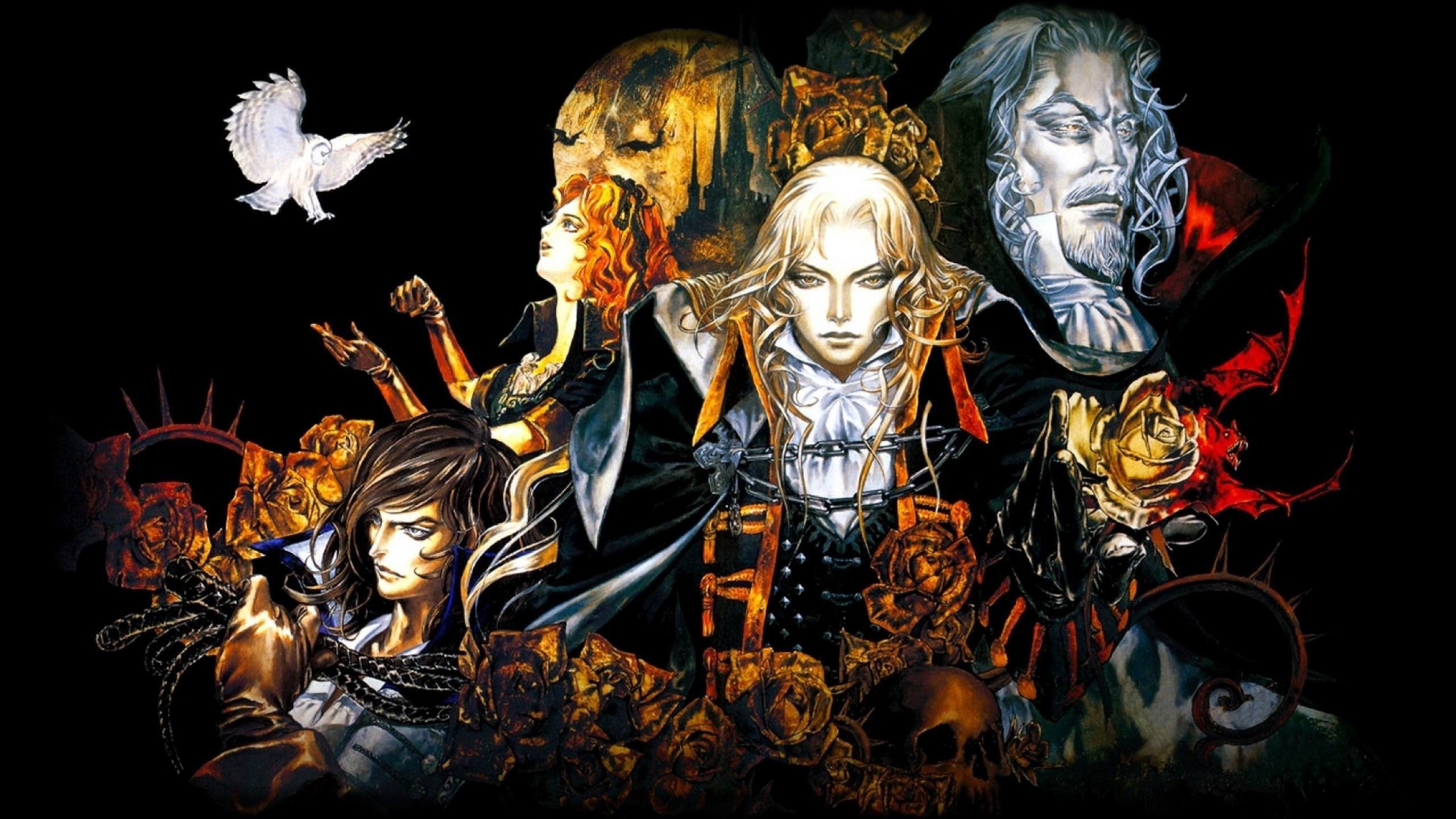 Wallpaper rose, flower, immortal, man