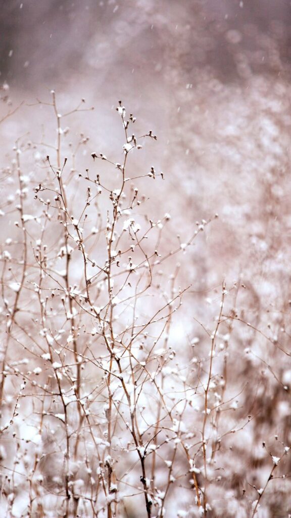 Winter Wallpaper For IPhone