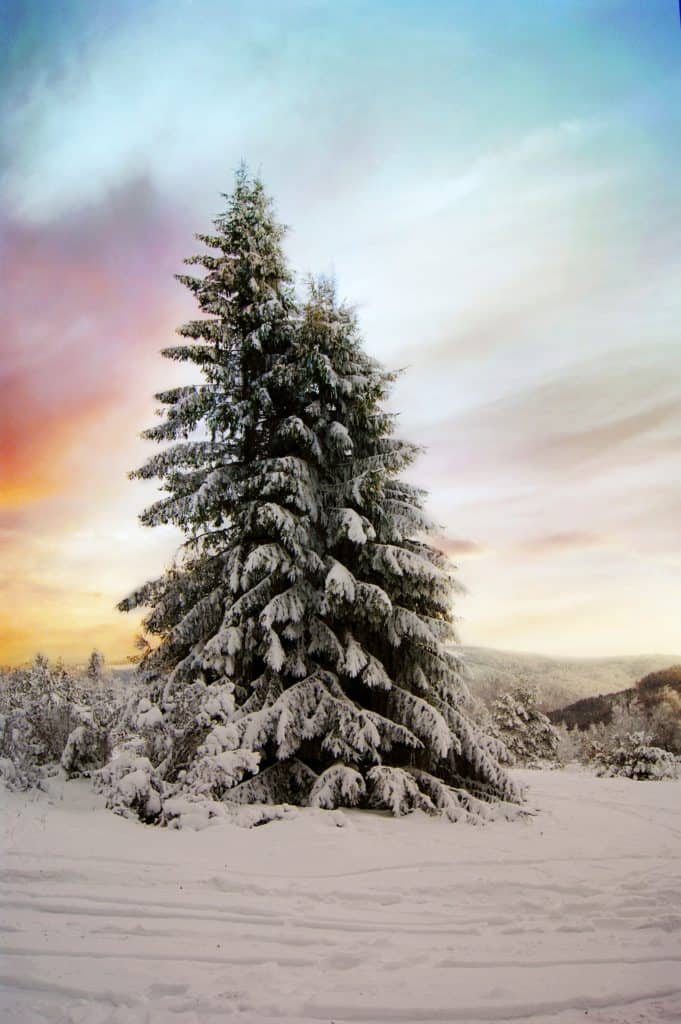 Beautiful Winter Wallpaper Aesthetic