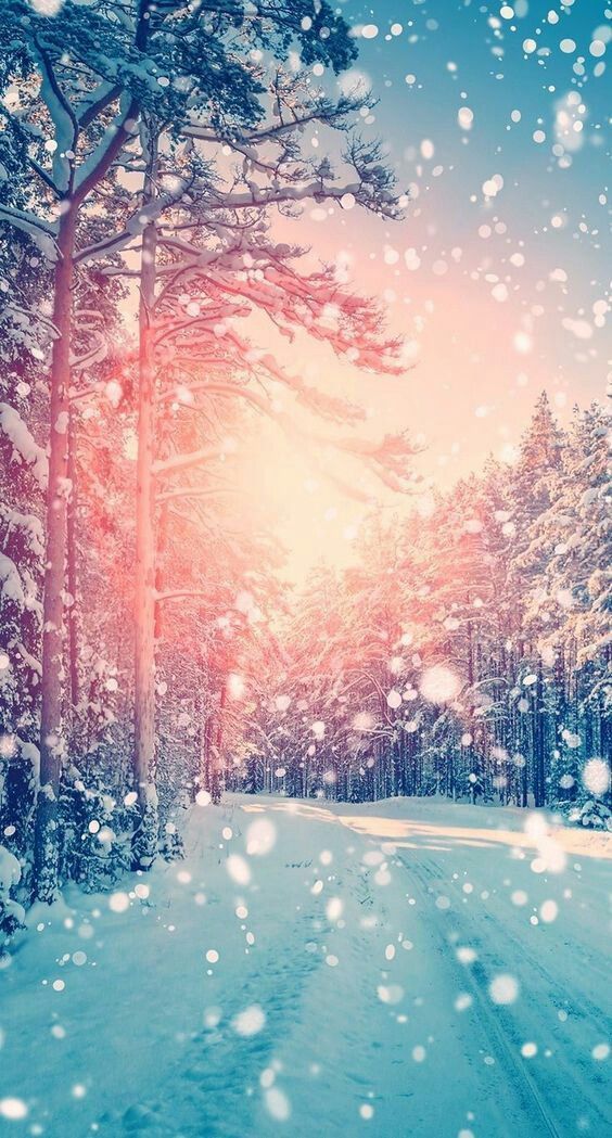 Winter iPhone Wallpaper Ideas