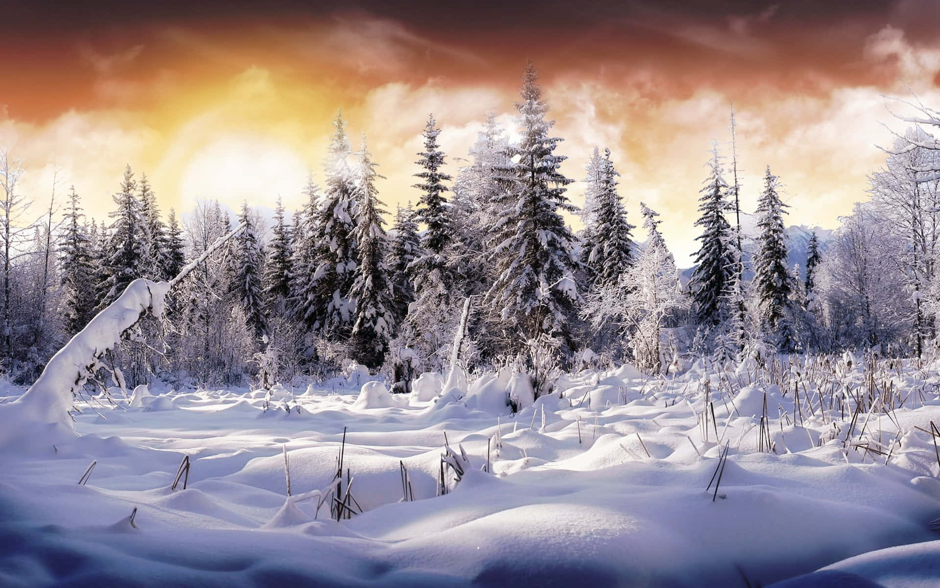 Winter Snow Desktop Wallpaper