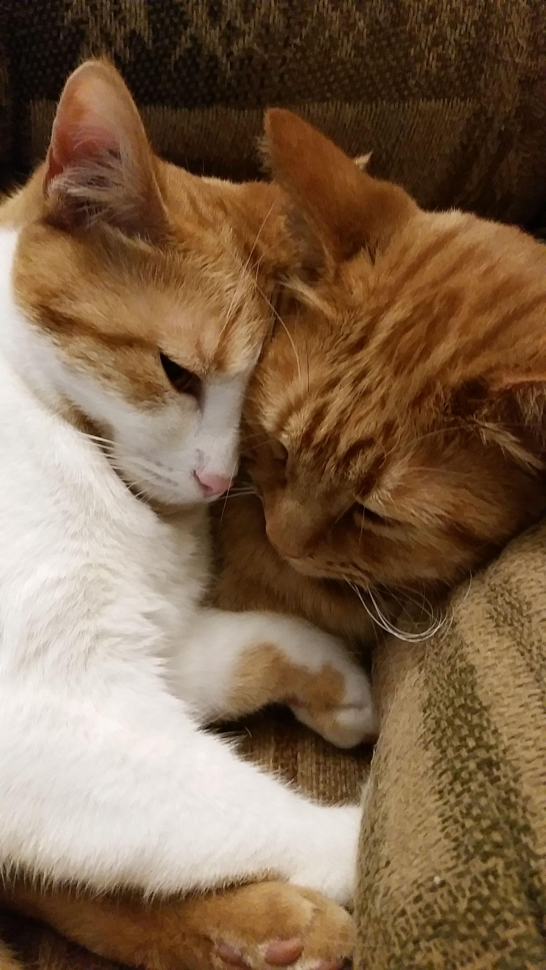 my wallpaper came with the phone!