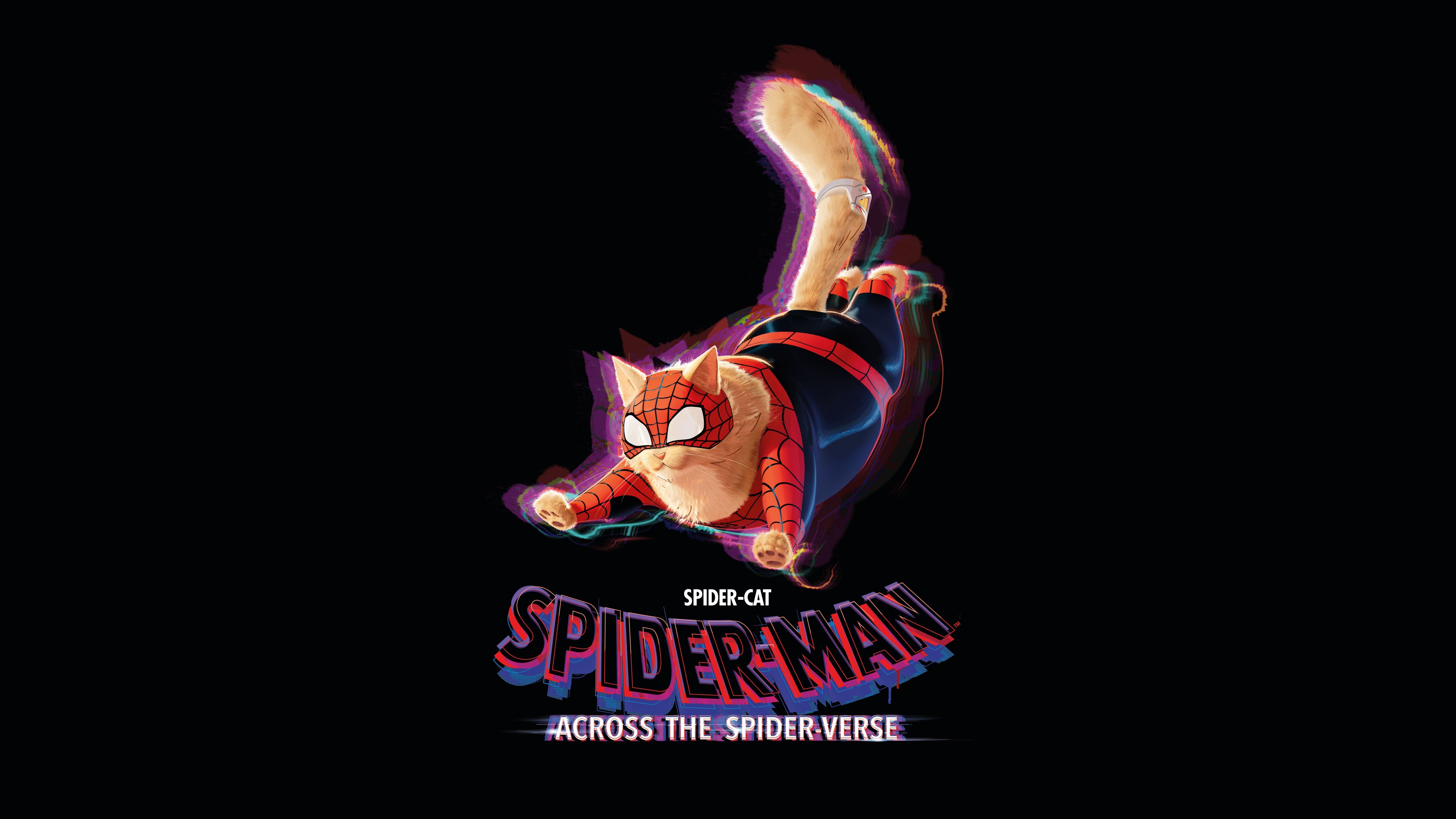 Spider Cat Wallpaper 4K