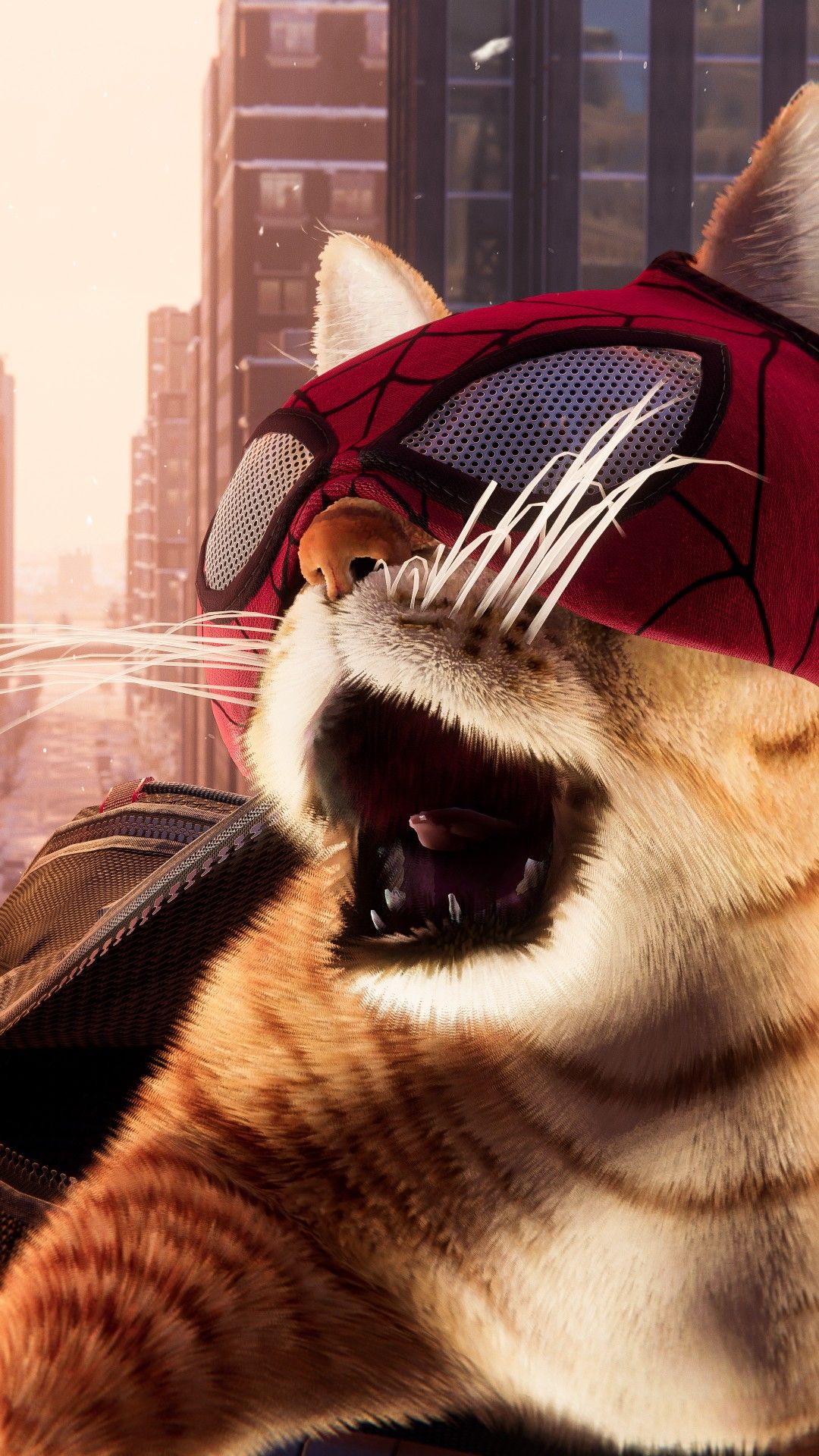 Spider Cat Wallpaper