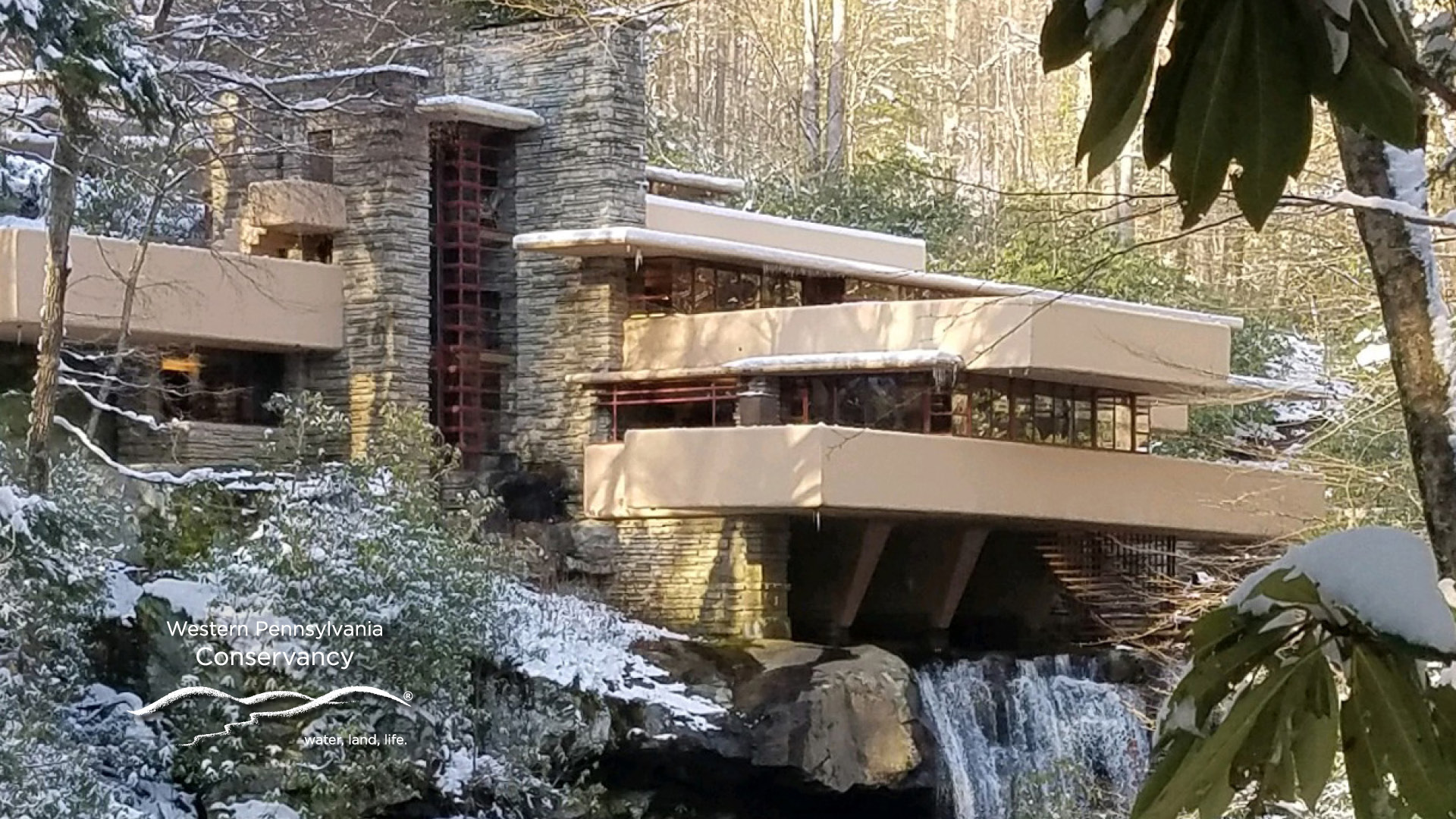 Fallingwater Virtual