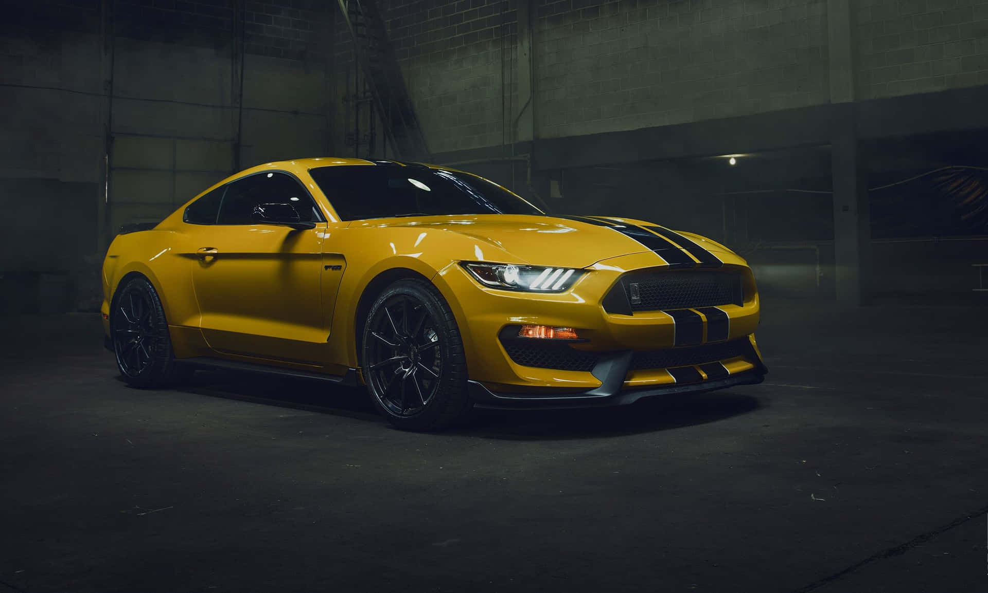 Download Stunning Ford Mustang Shelby
