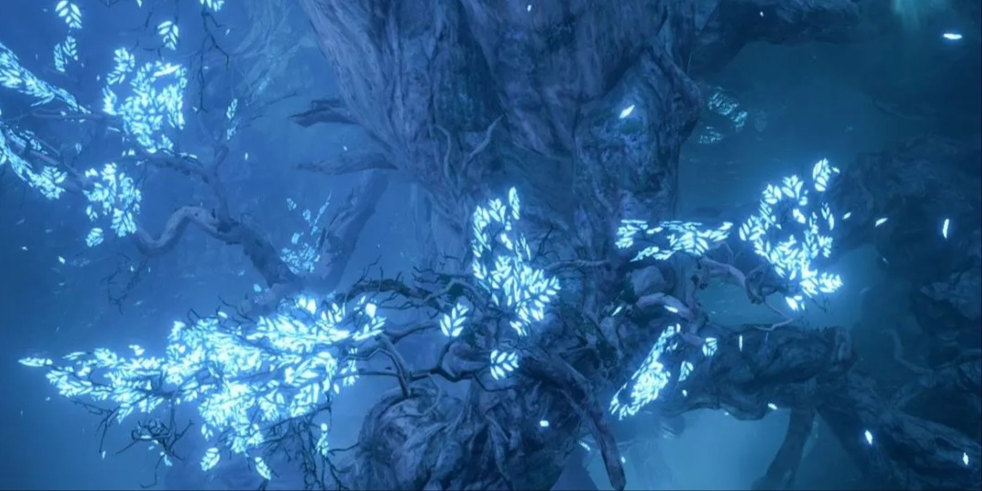 Underdark Map With Points Of Interest