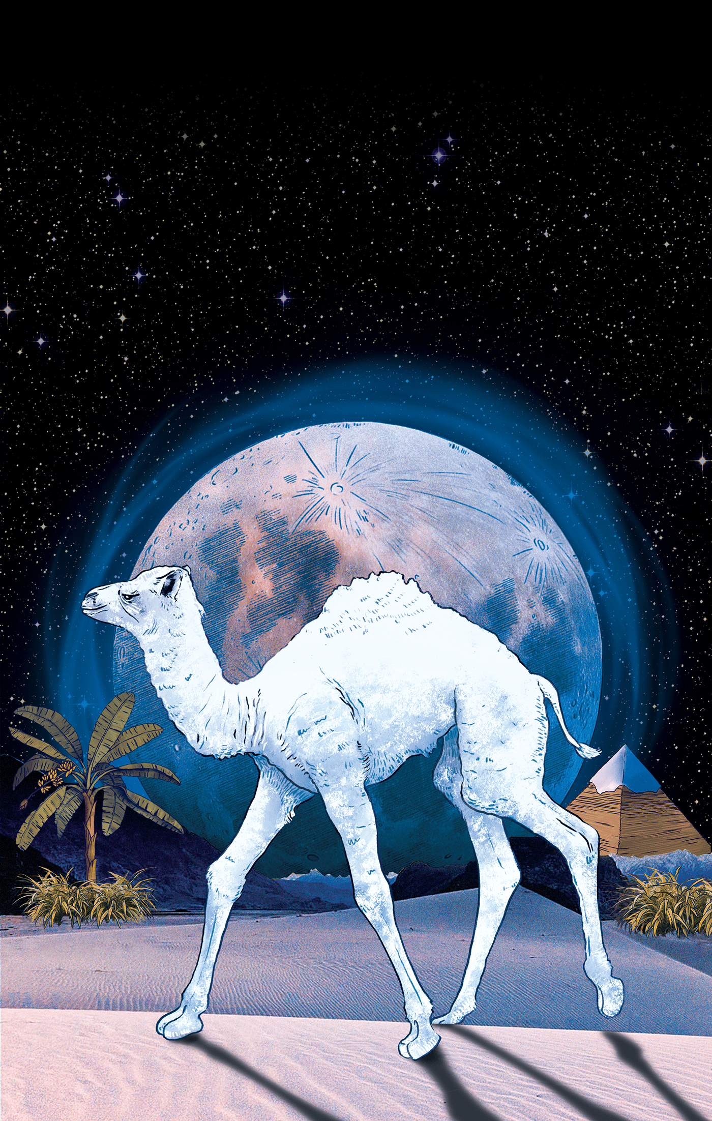 CAMEL CIGARETTES. Limited Edition