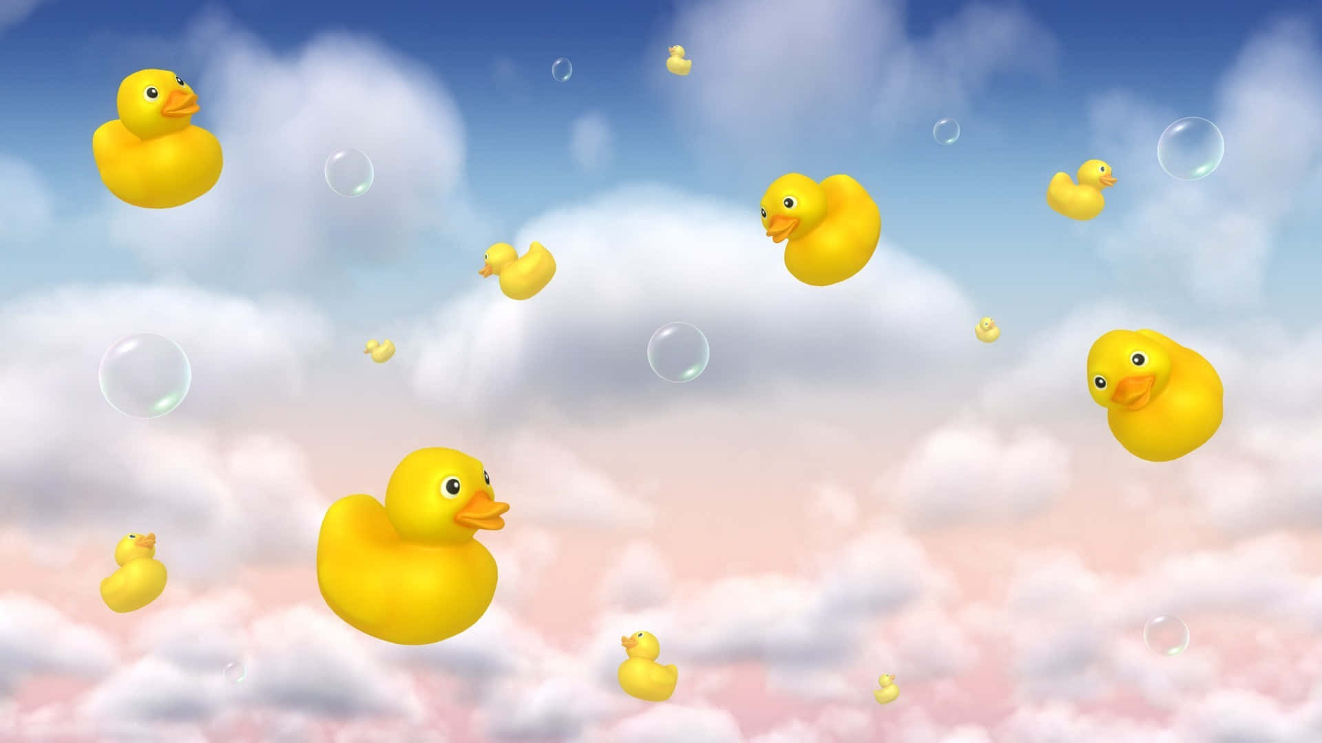 Download A cute duck enjoying a sunny