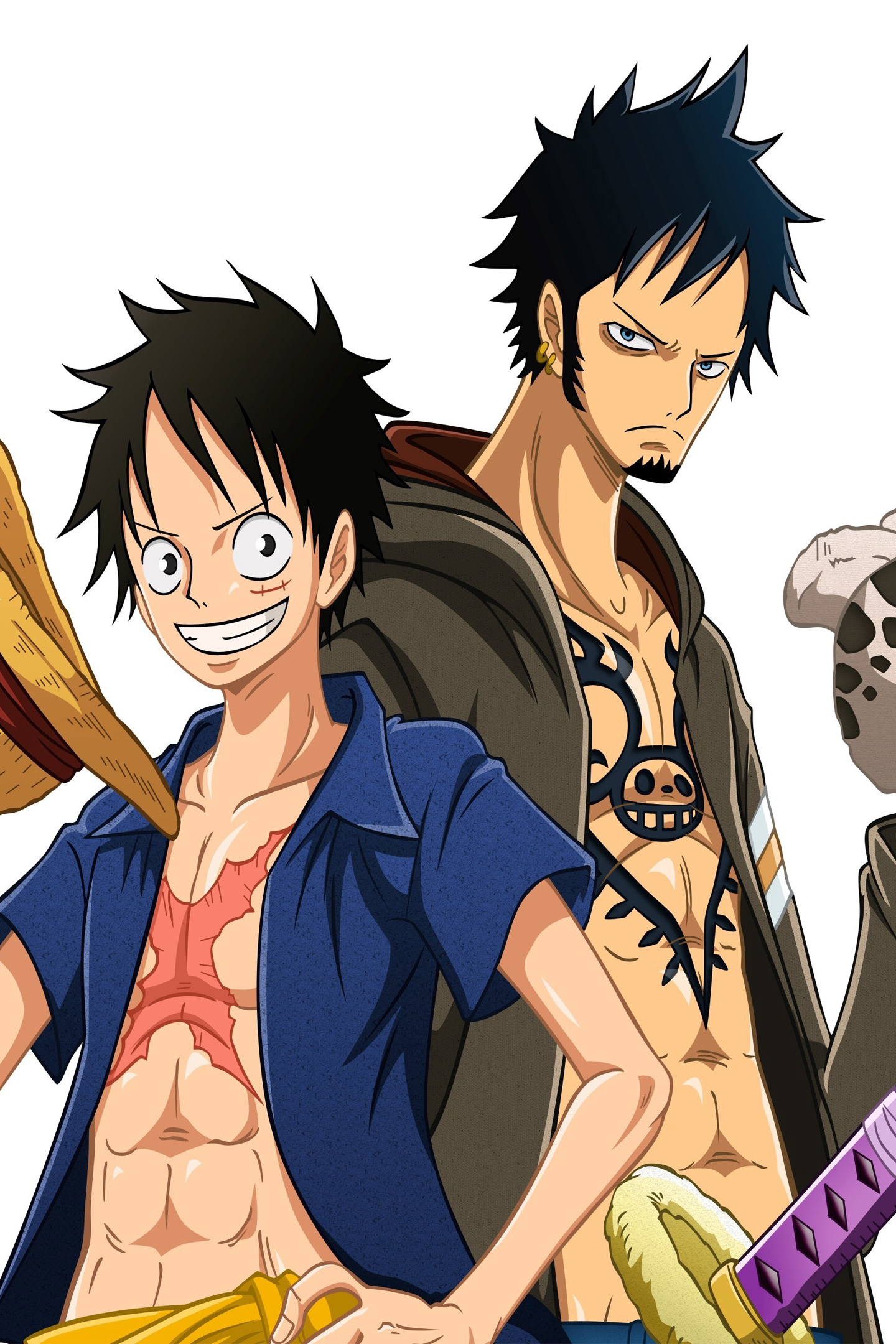 Download wallpaper 1440x2560 one piece